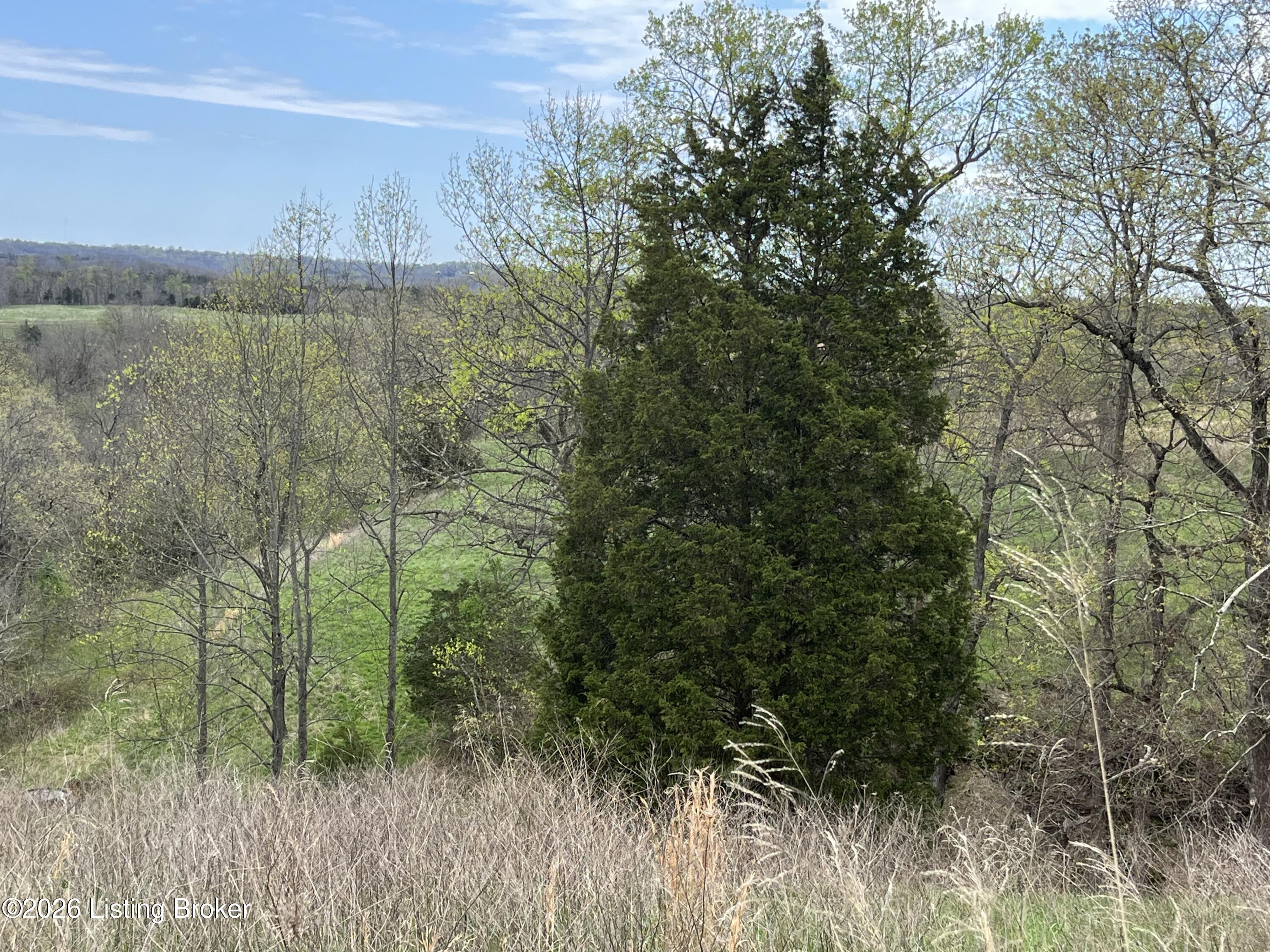 1568 Bray Ridge Rd Property Photo 26