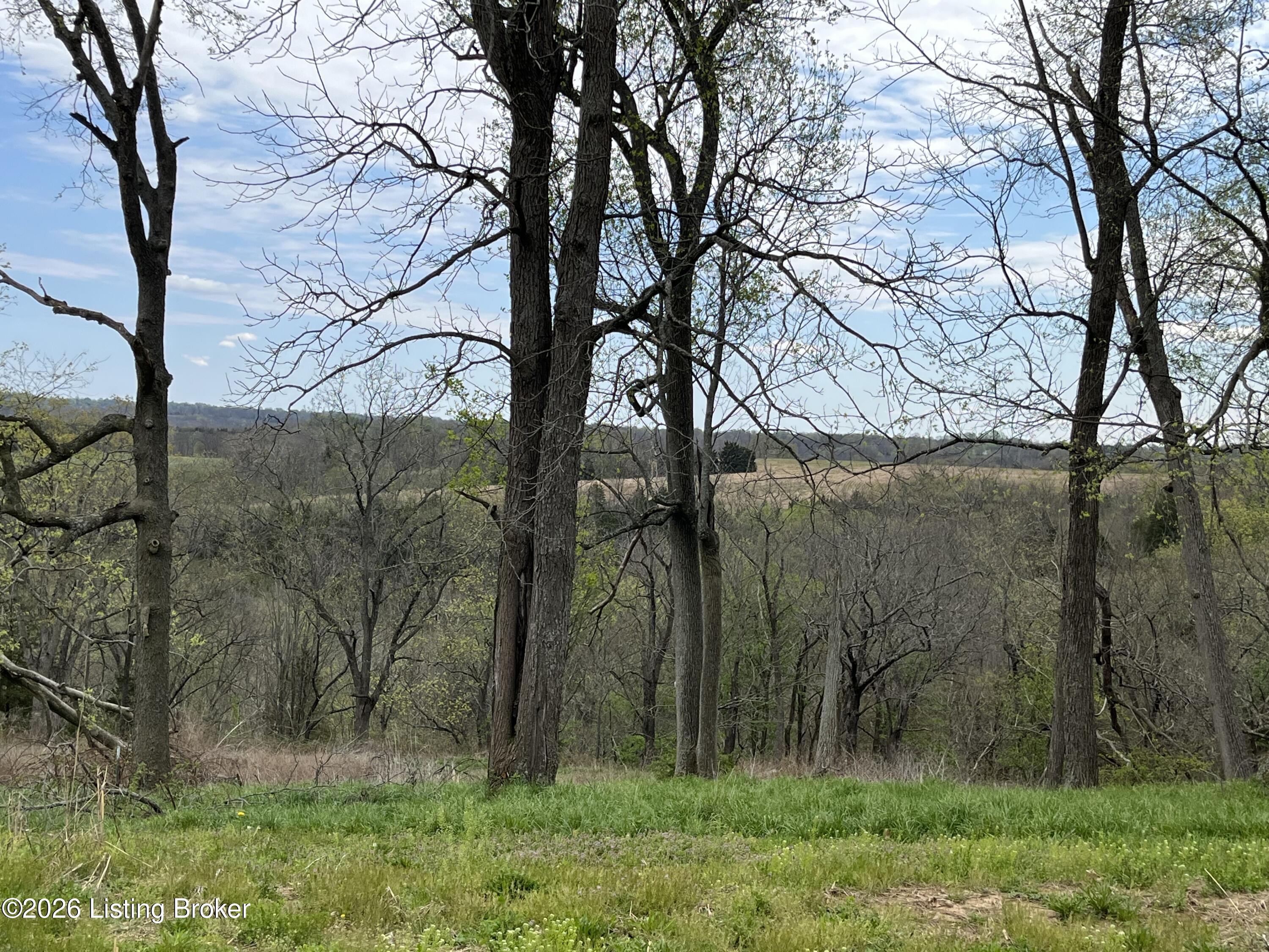 1568 Bray Ridge Rd Property Photo 28