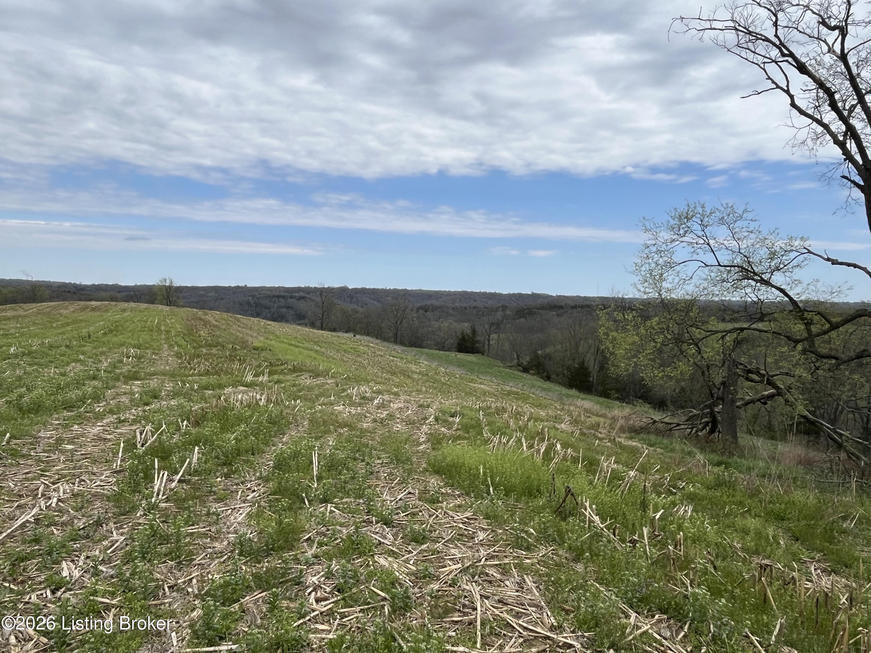 1568 Bray Ridge Rd Property Photo 30