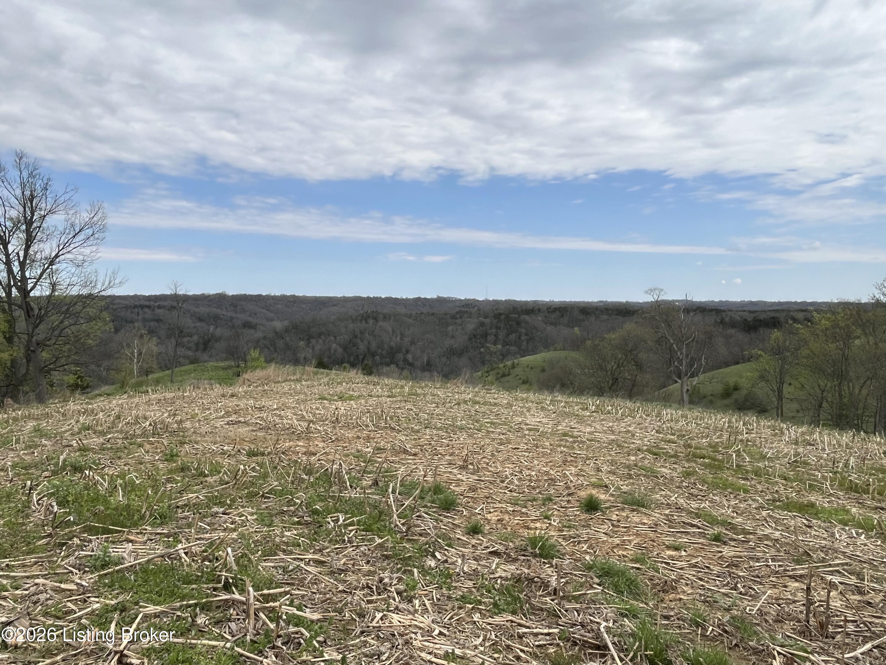 1568 Bray Ridge Rd Property Photo 31