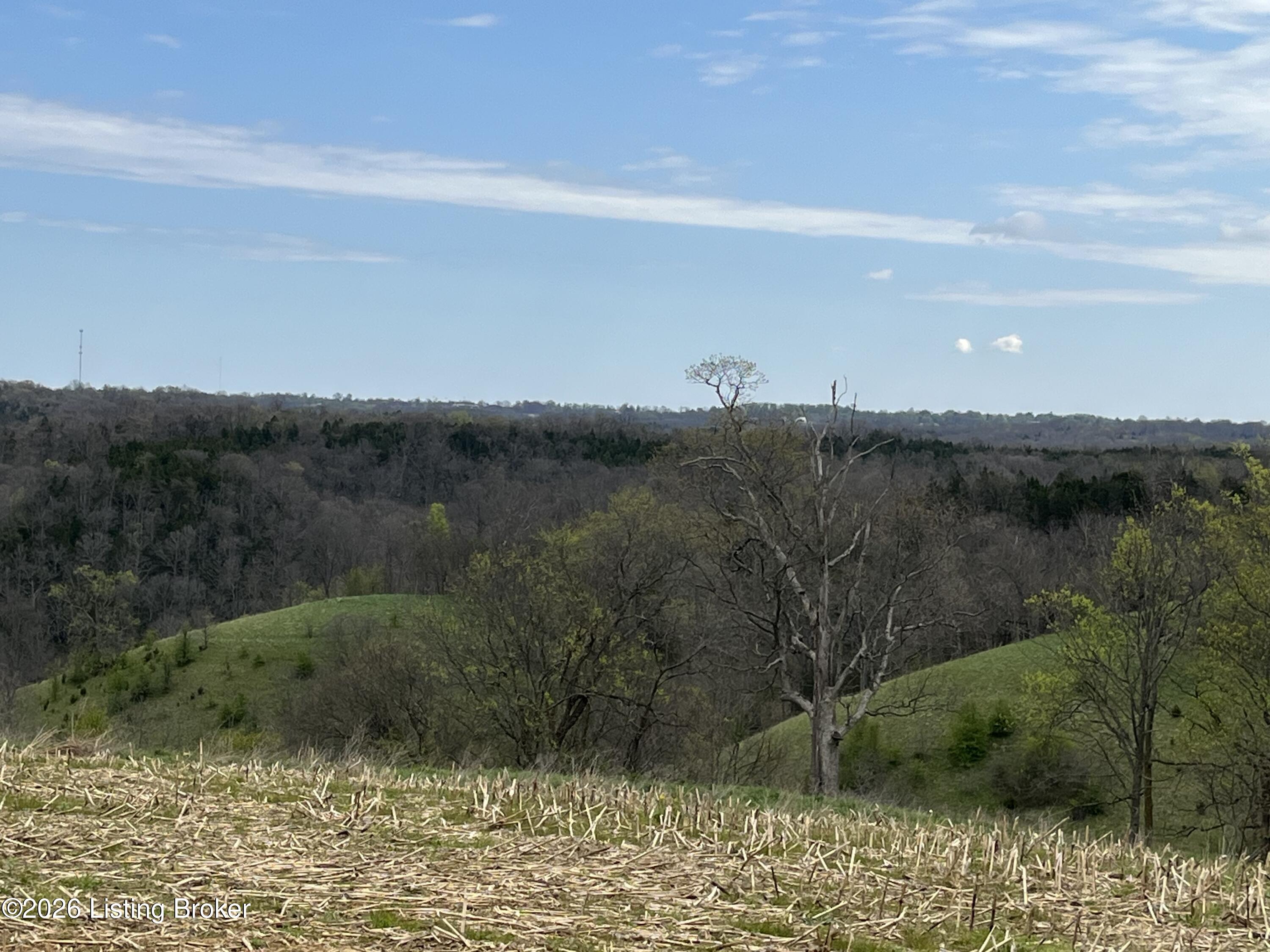 1568 Bray Ridge Rd Property Photo 33