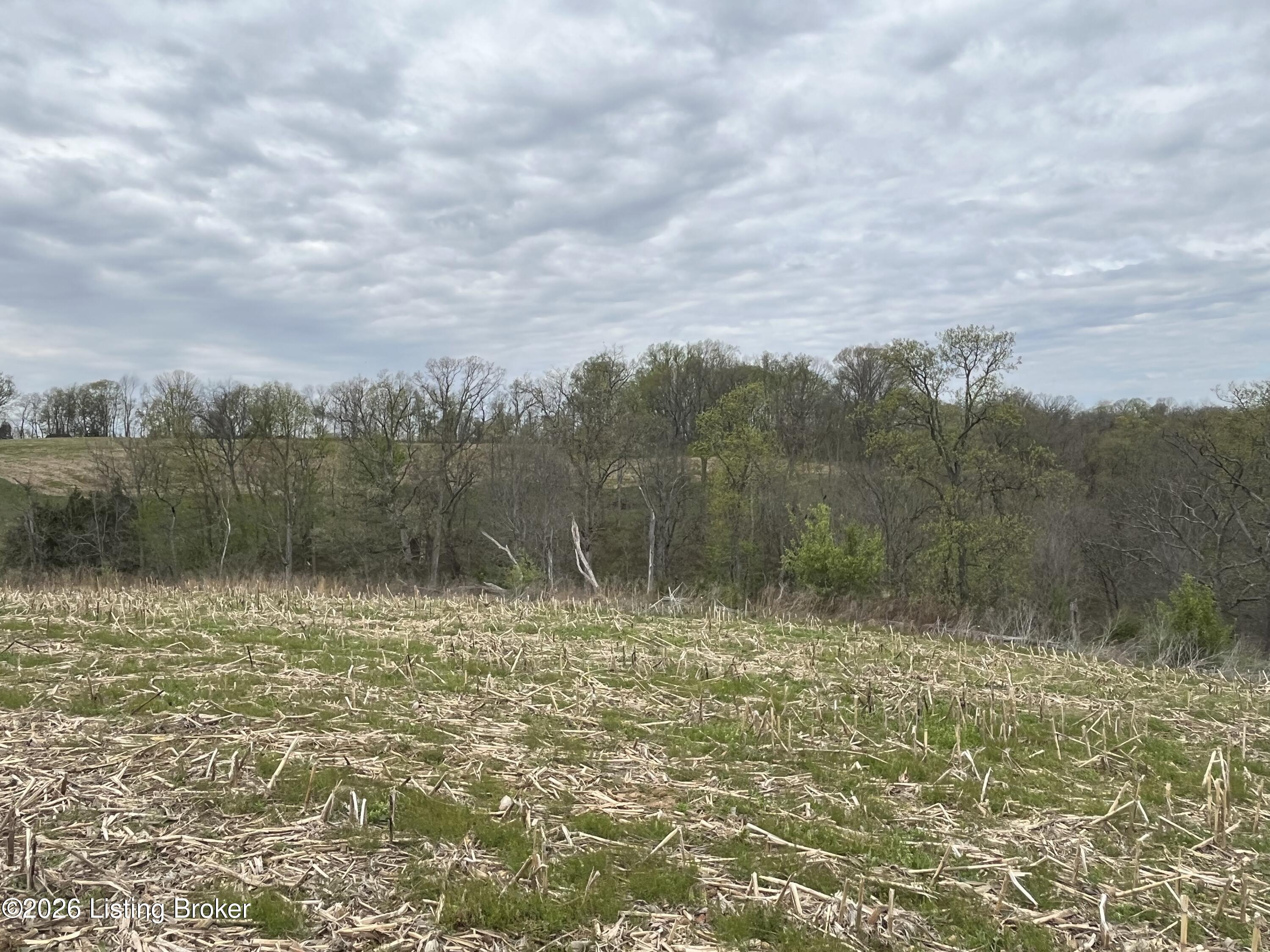 1568 Bray Ridge Rd Property Photo 35