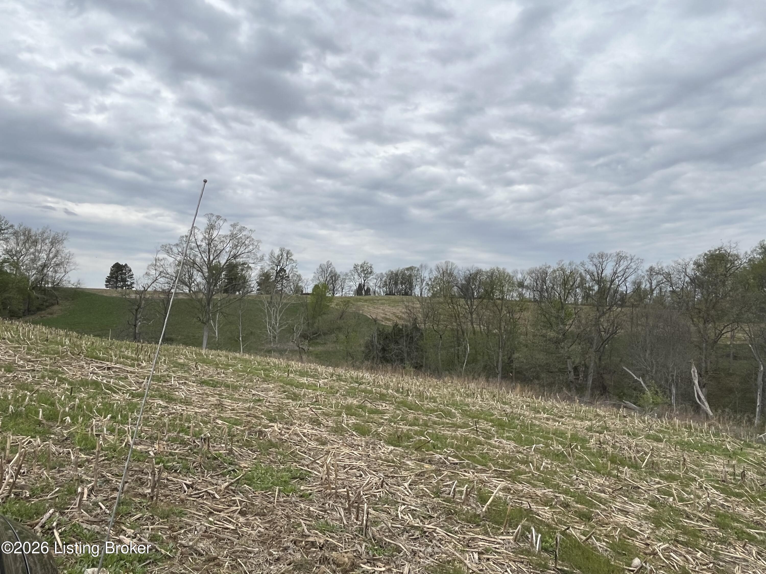 1568 Bray Ridge Rd Property Photo 36