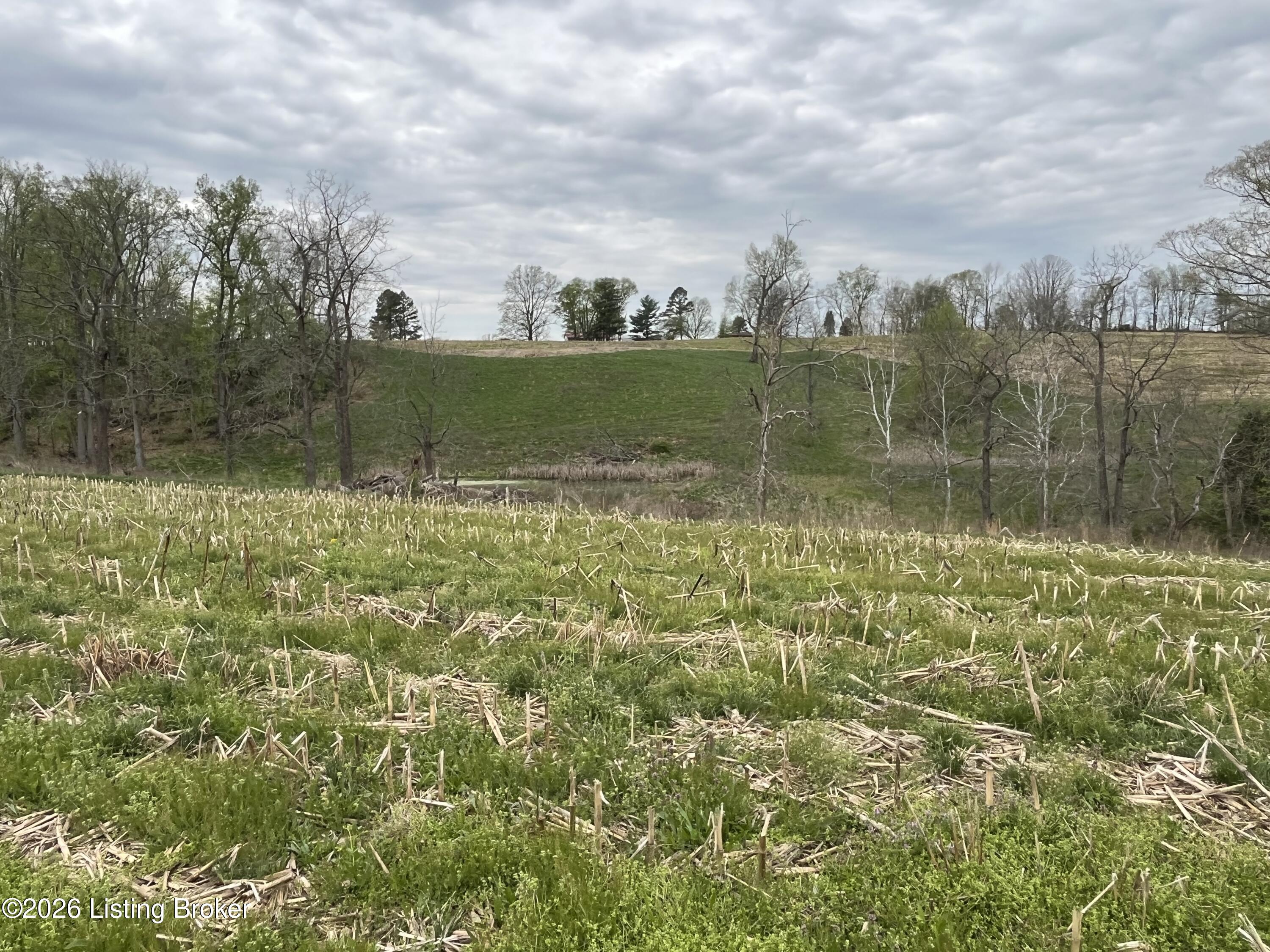 1568 Bray Ridge Rd Property Photo 39