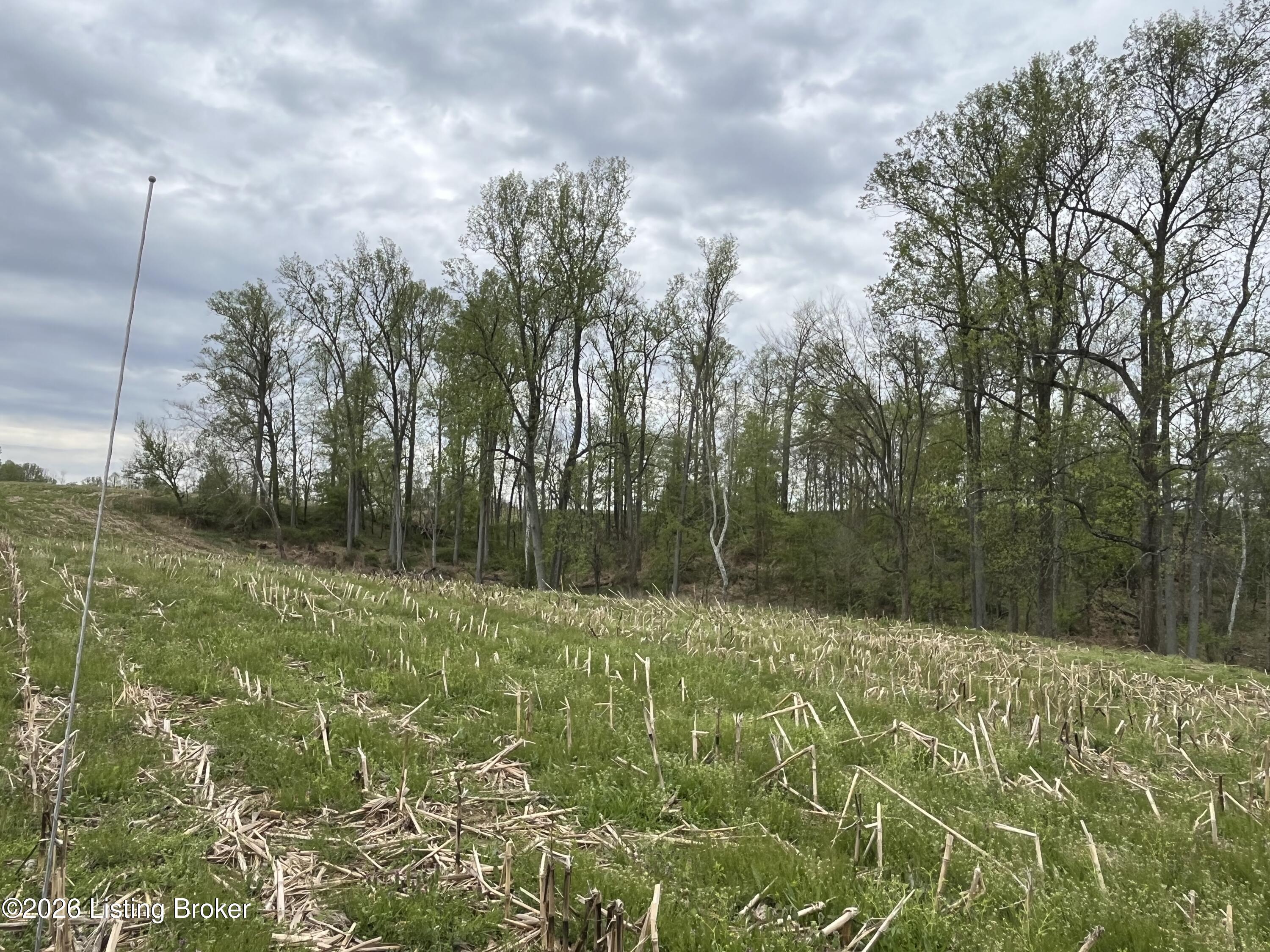 1568 Bray Ridge Rd Property Photo 41
