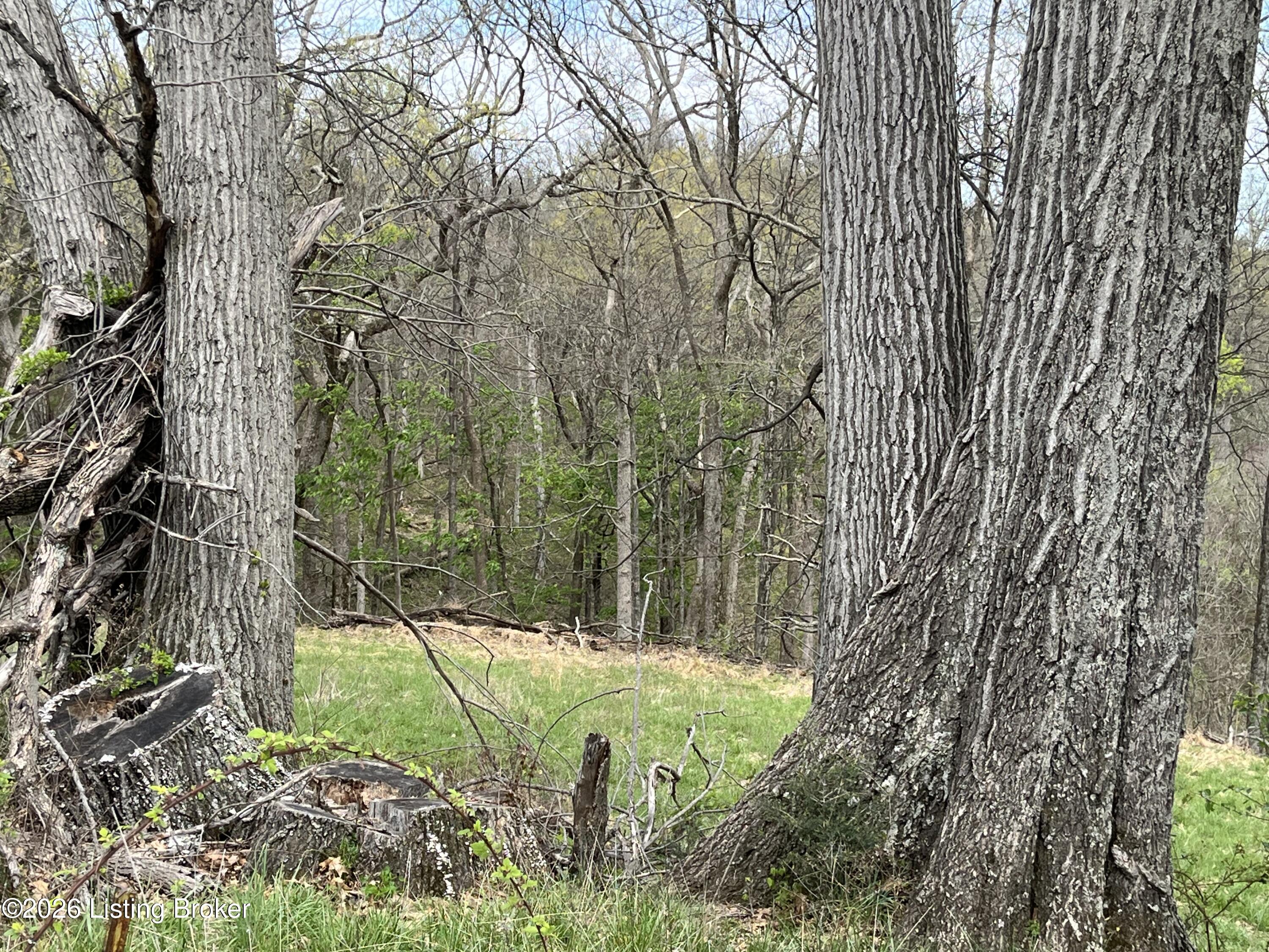 1568 Bray Ridge Rd Property Photo 44