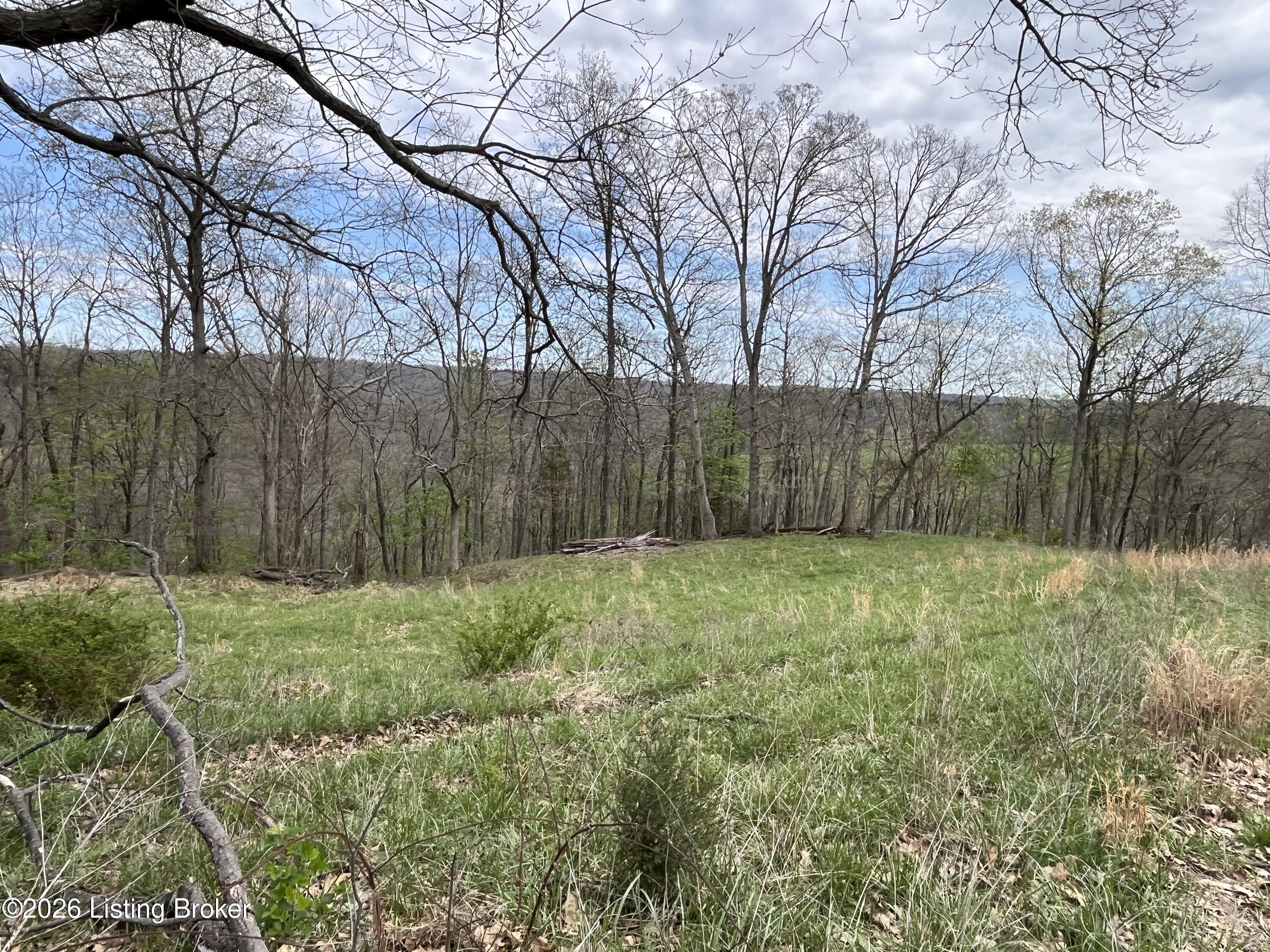 1568 Bray Ridge Rd Property Photo 45