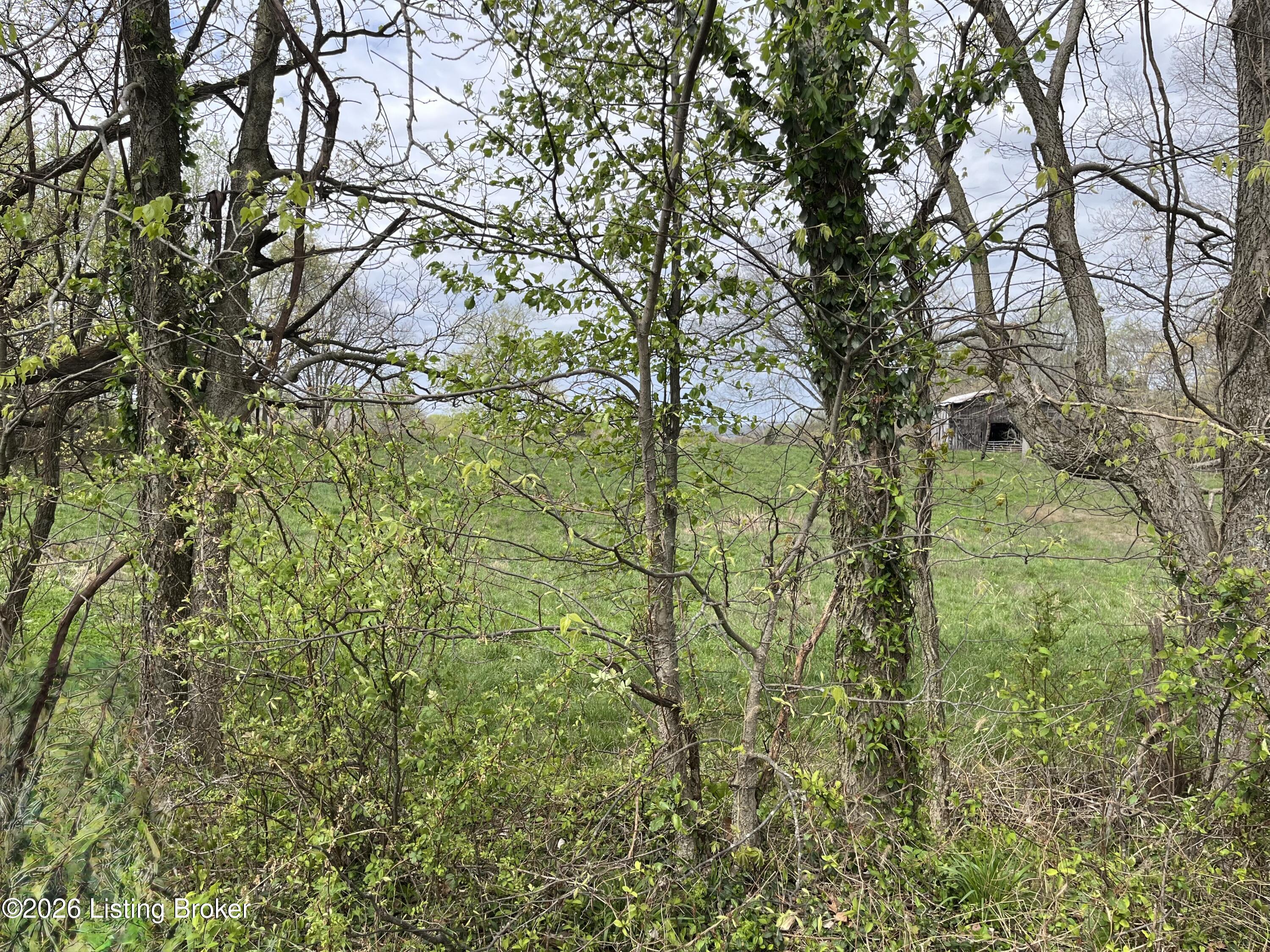 1568 Bray Ridge Rd Property Photo 46