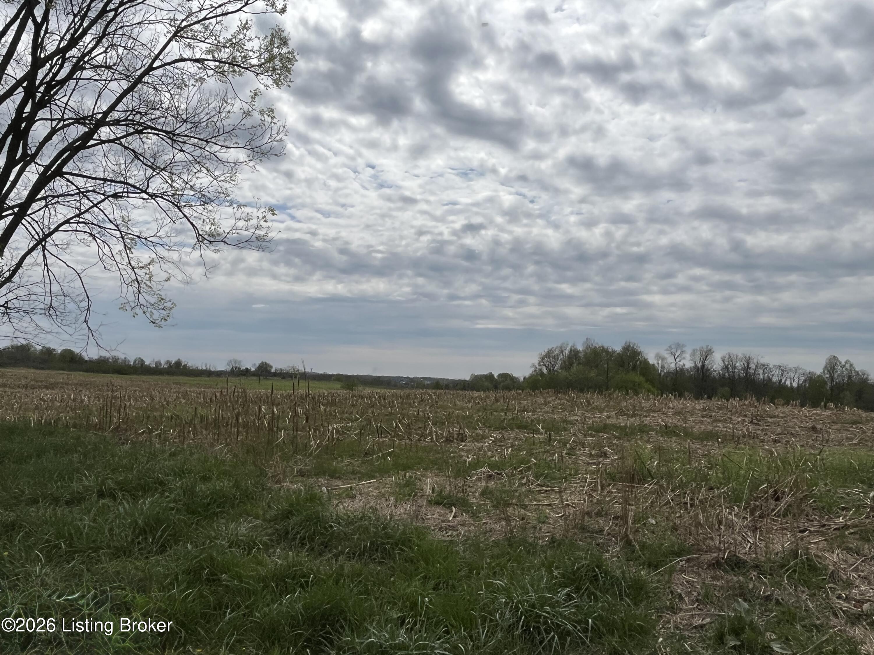 1568 Bray Ridge Rd Property Photo 64