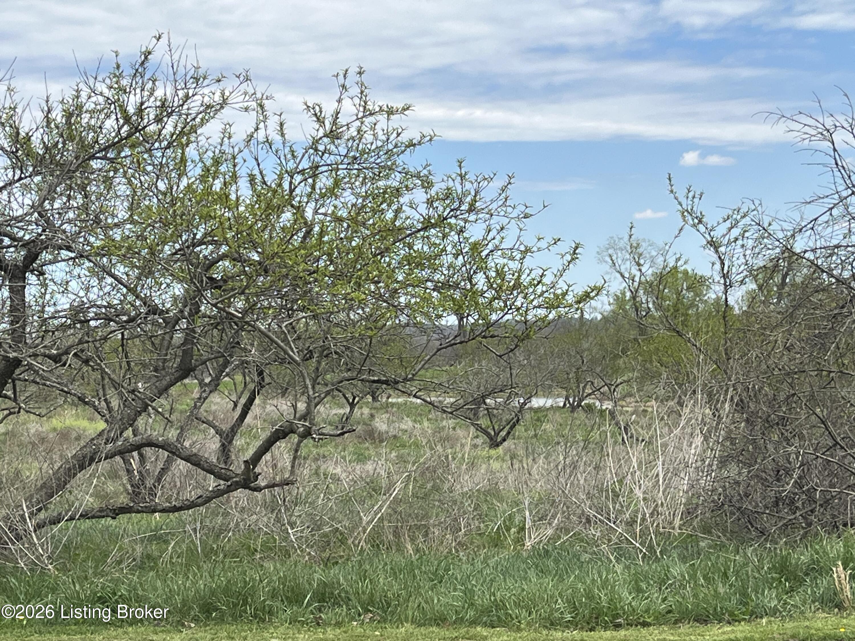 1568 Bray Ridge Rd Property Photo 66