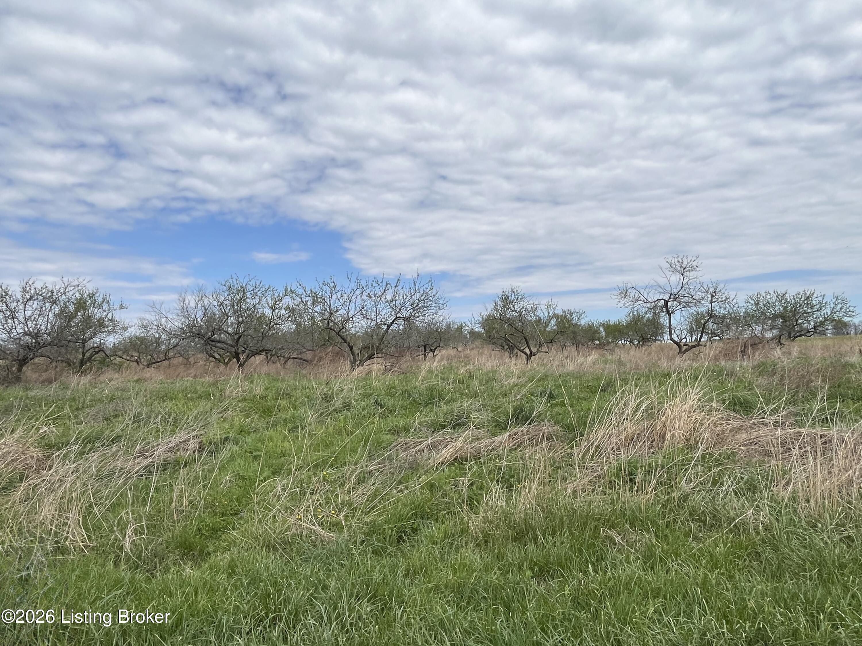 1568 Bray Ridge Rd Property Photo 68