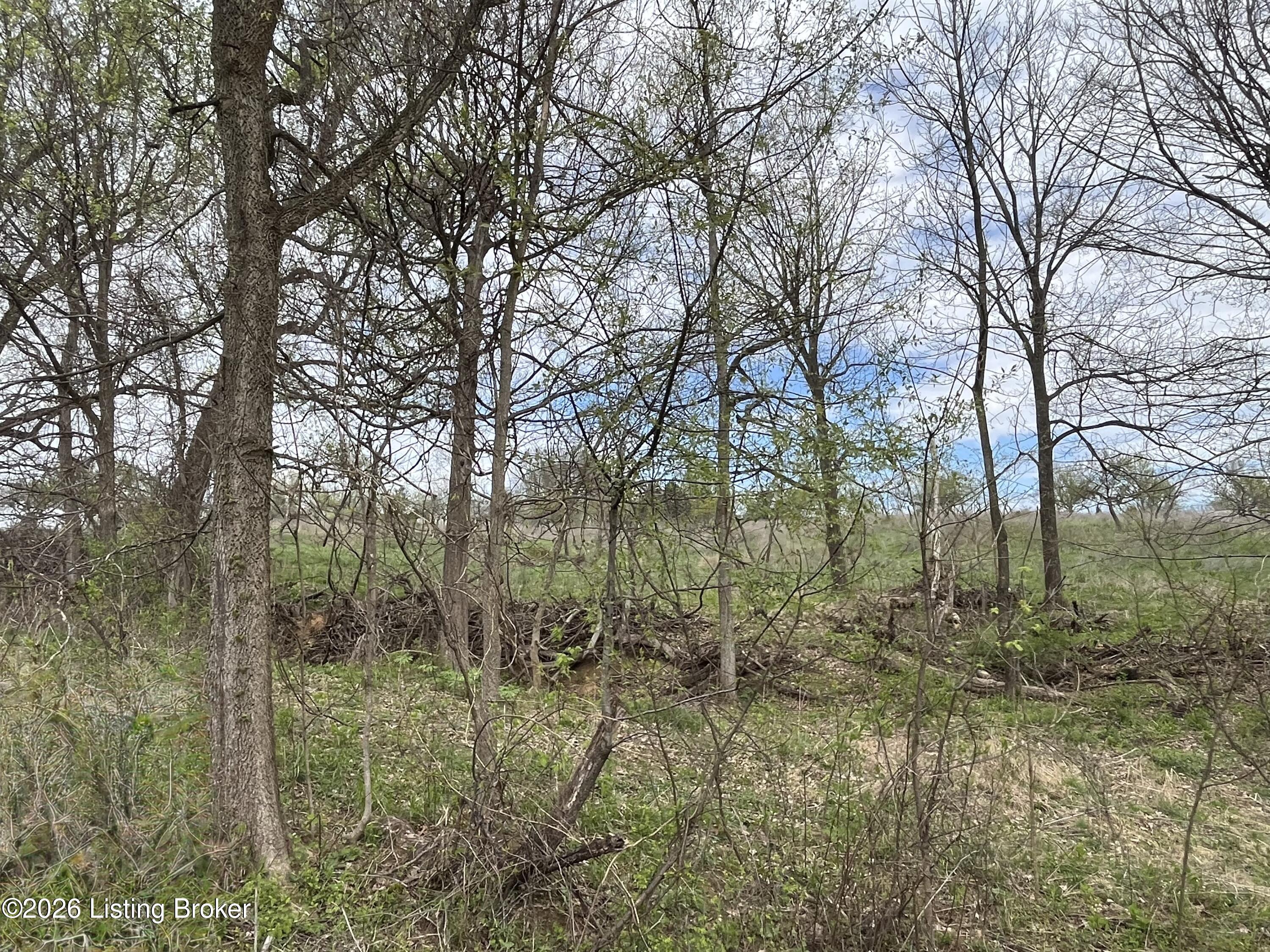 1568 Bray Ridge Rd Property Photo 70
