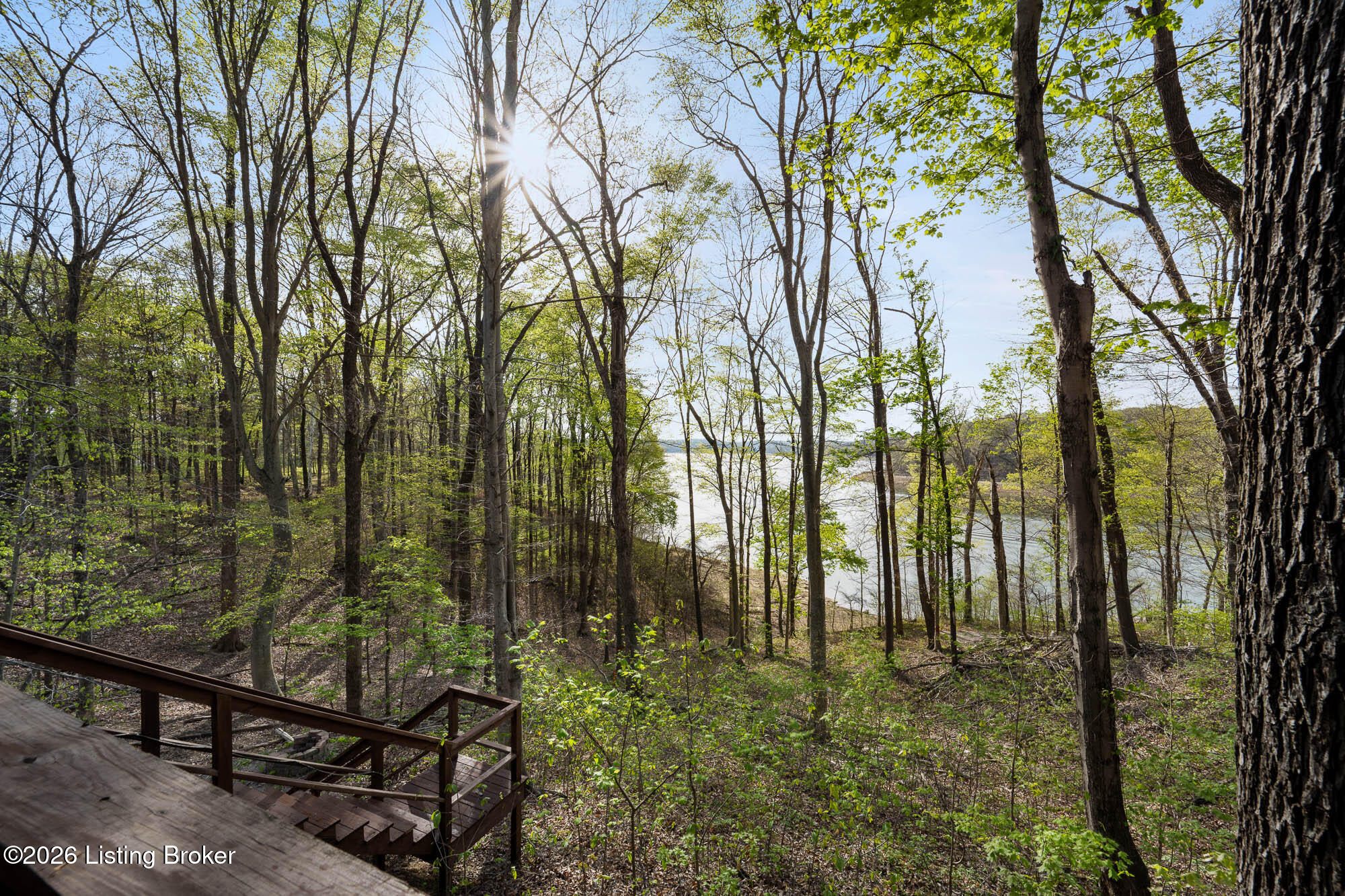 330 Averi Gray Ridge Dr Property Photo 68