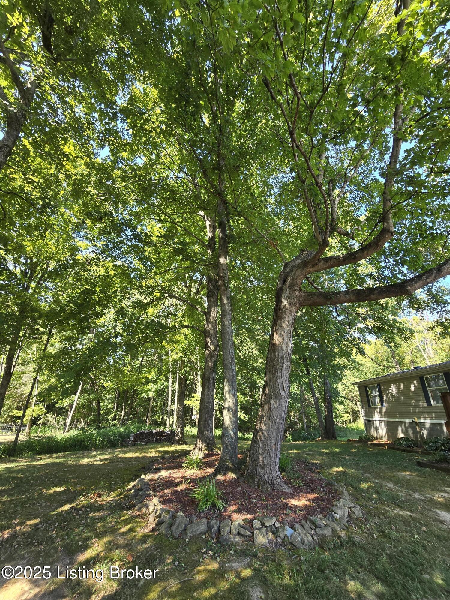 2131 Ridge Rd Property Photo 47