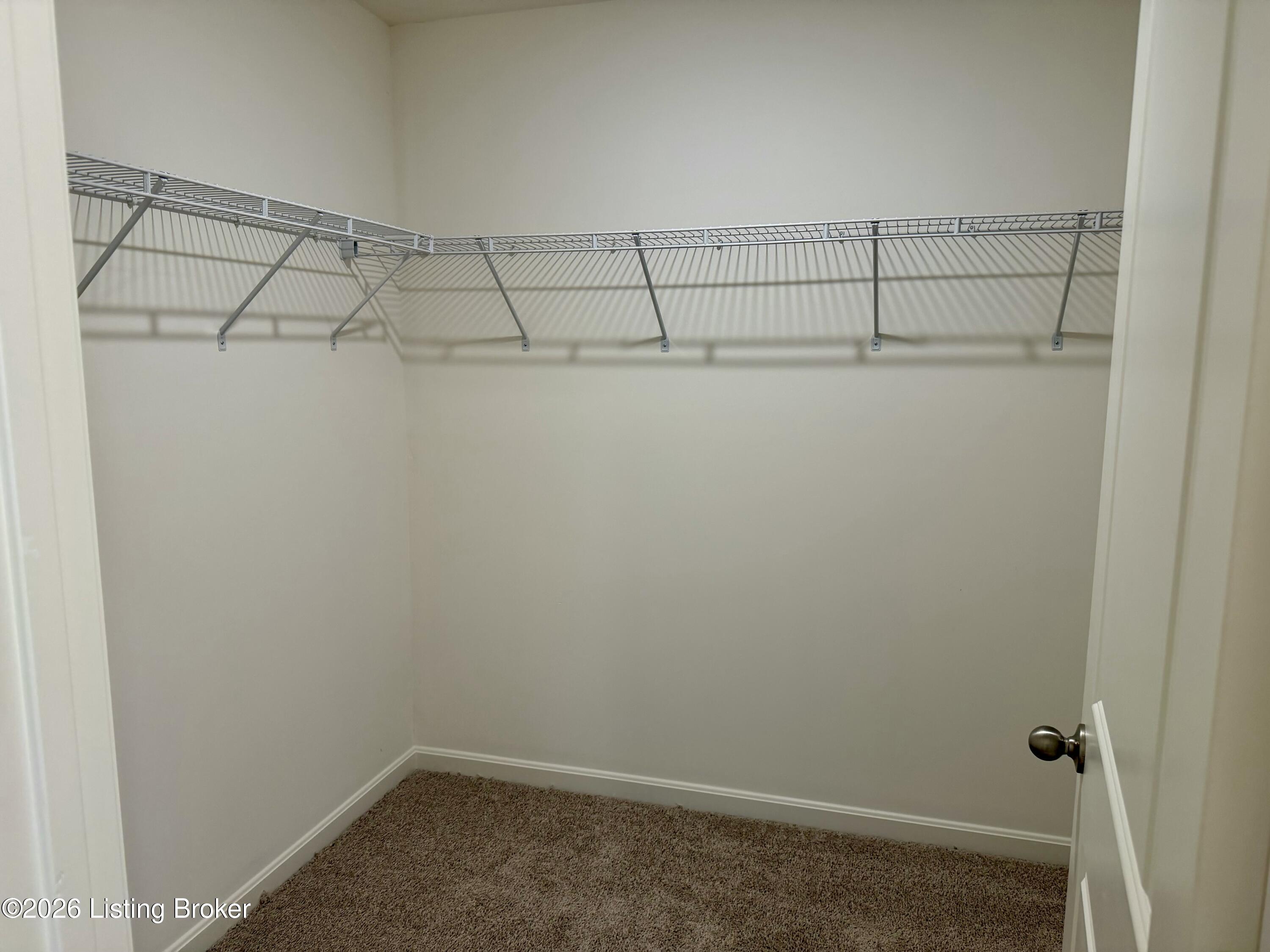 557 Zelcova Dr Property Photo 8