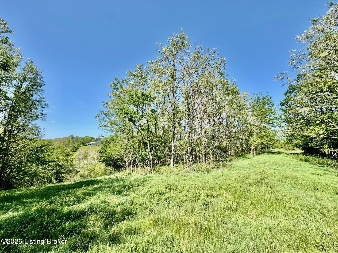 4053 Polin Rd Property Photo 10