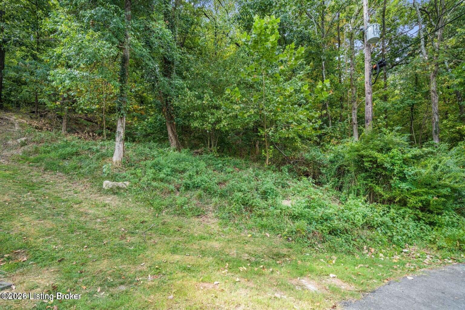 7407 Chant Ct Property Photo 6
