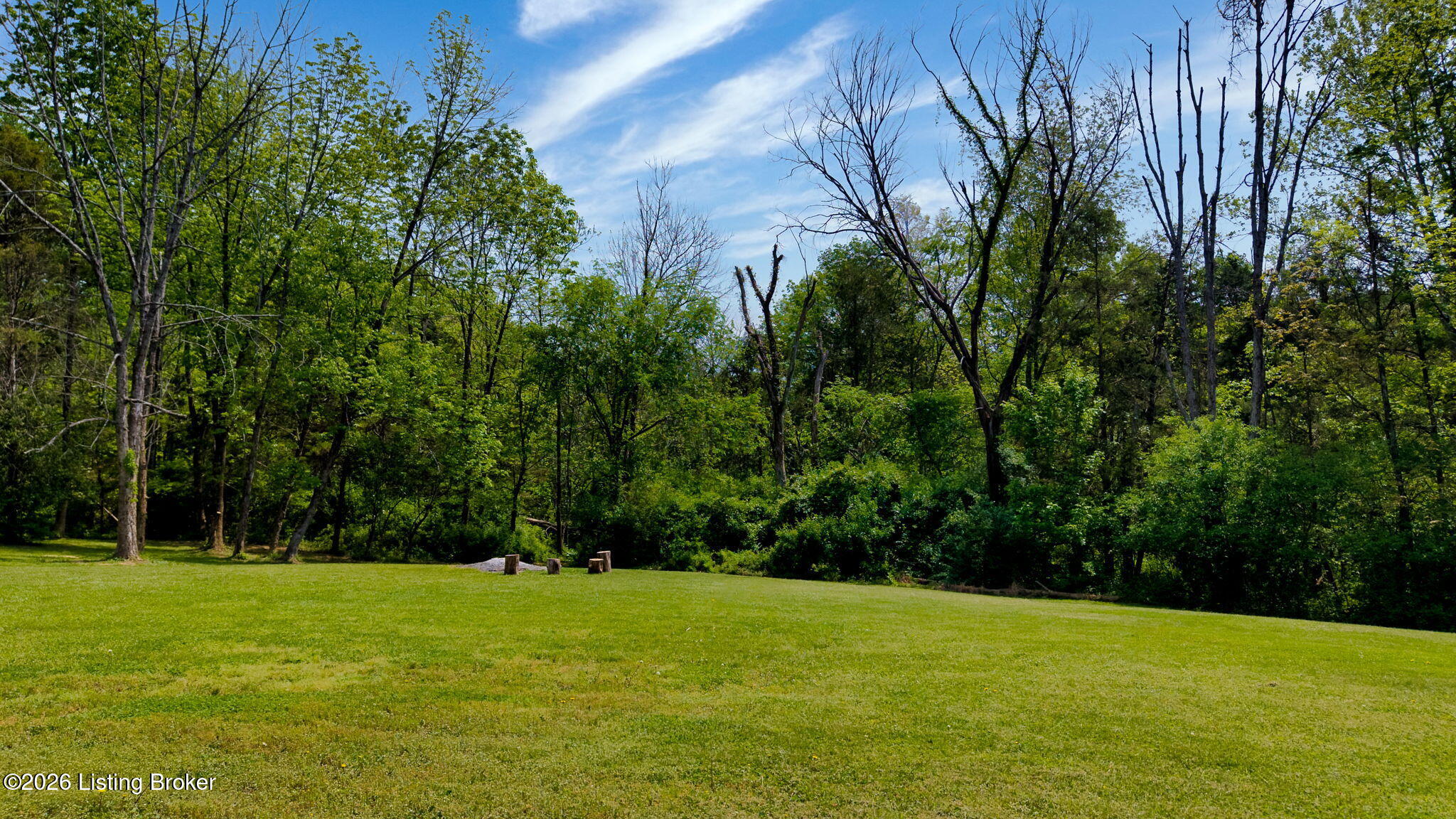 1107 Bruce Wood Ct Property Photo 65