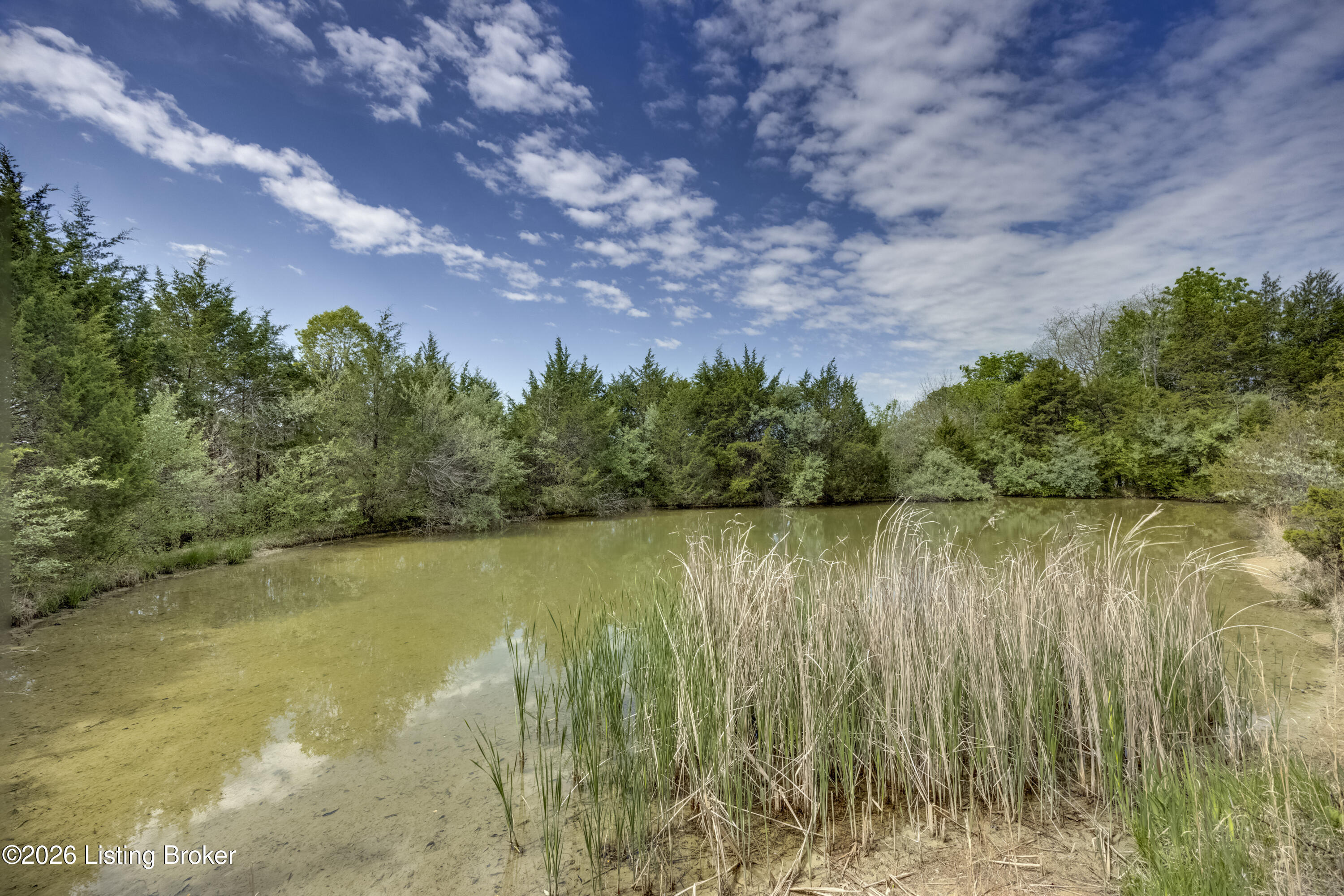2305 Reuben Smith Rd Property Photo 68