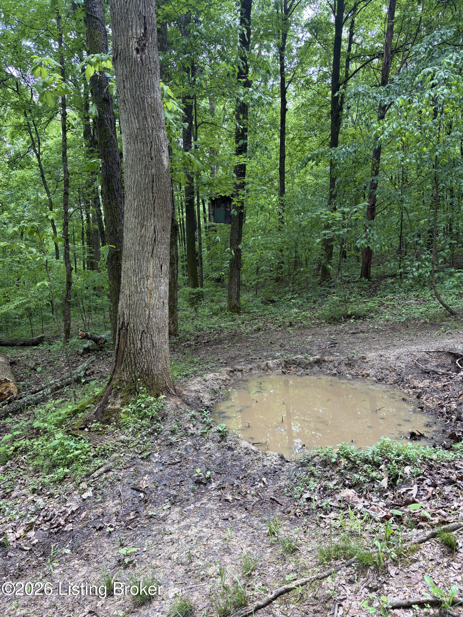 280 Oolite Rd Property Photo 20