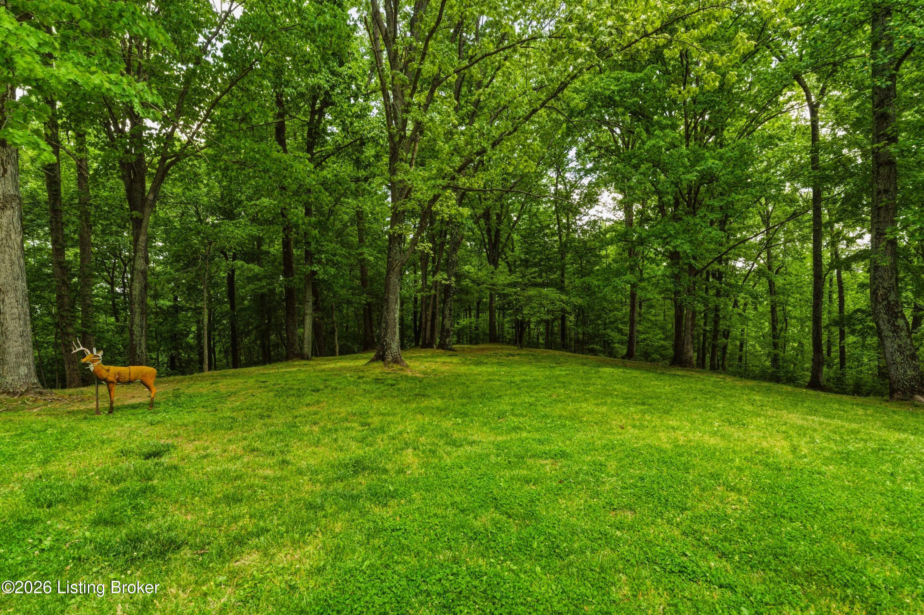 280 Oolite Rd Property Photo 32