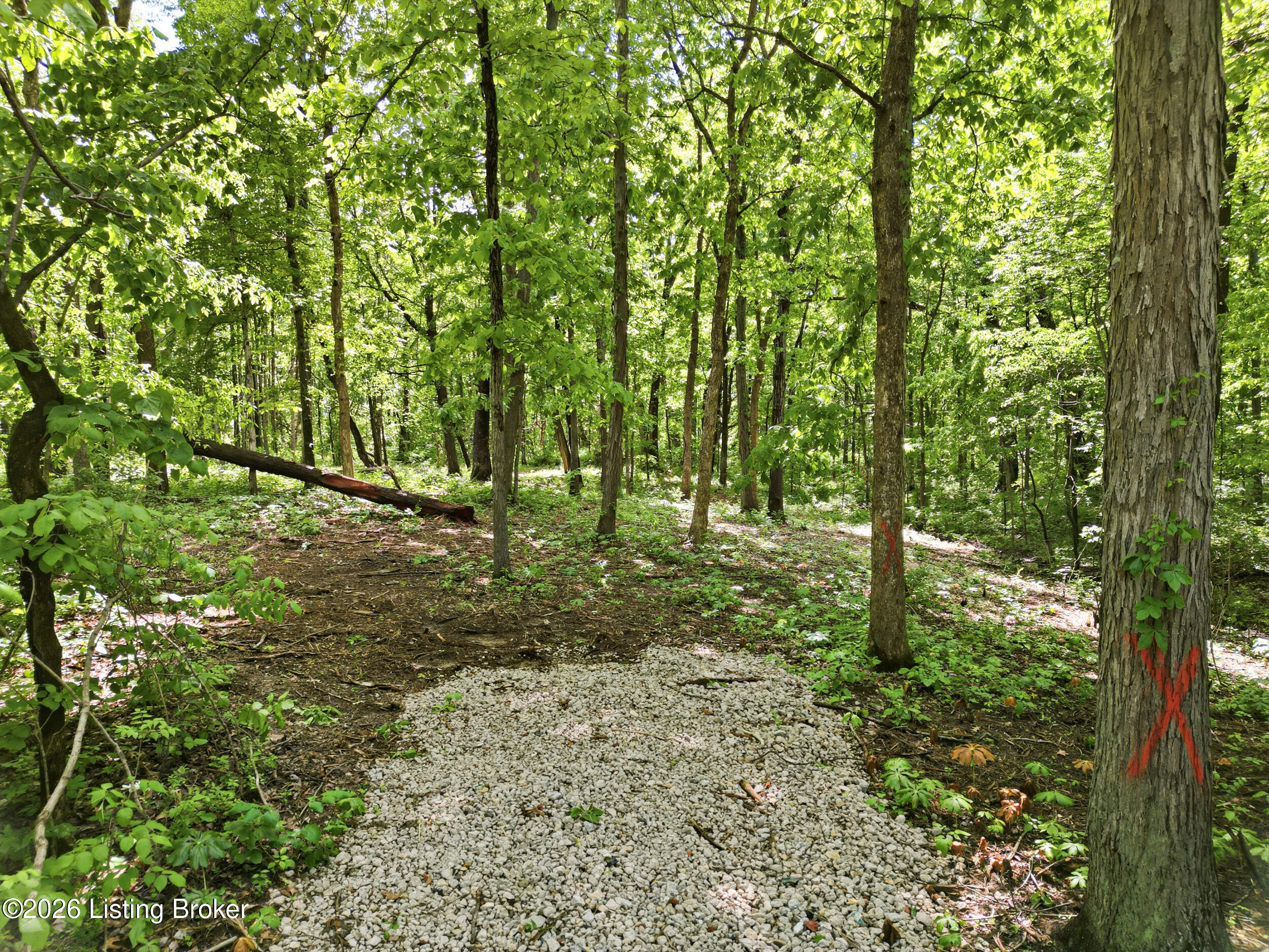 5900 Billtown Rd Property Photo 10