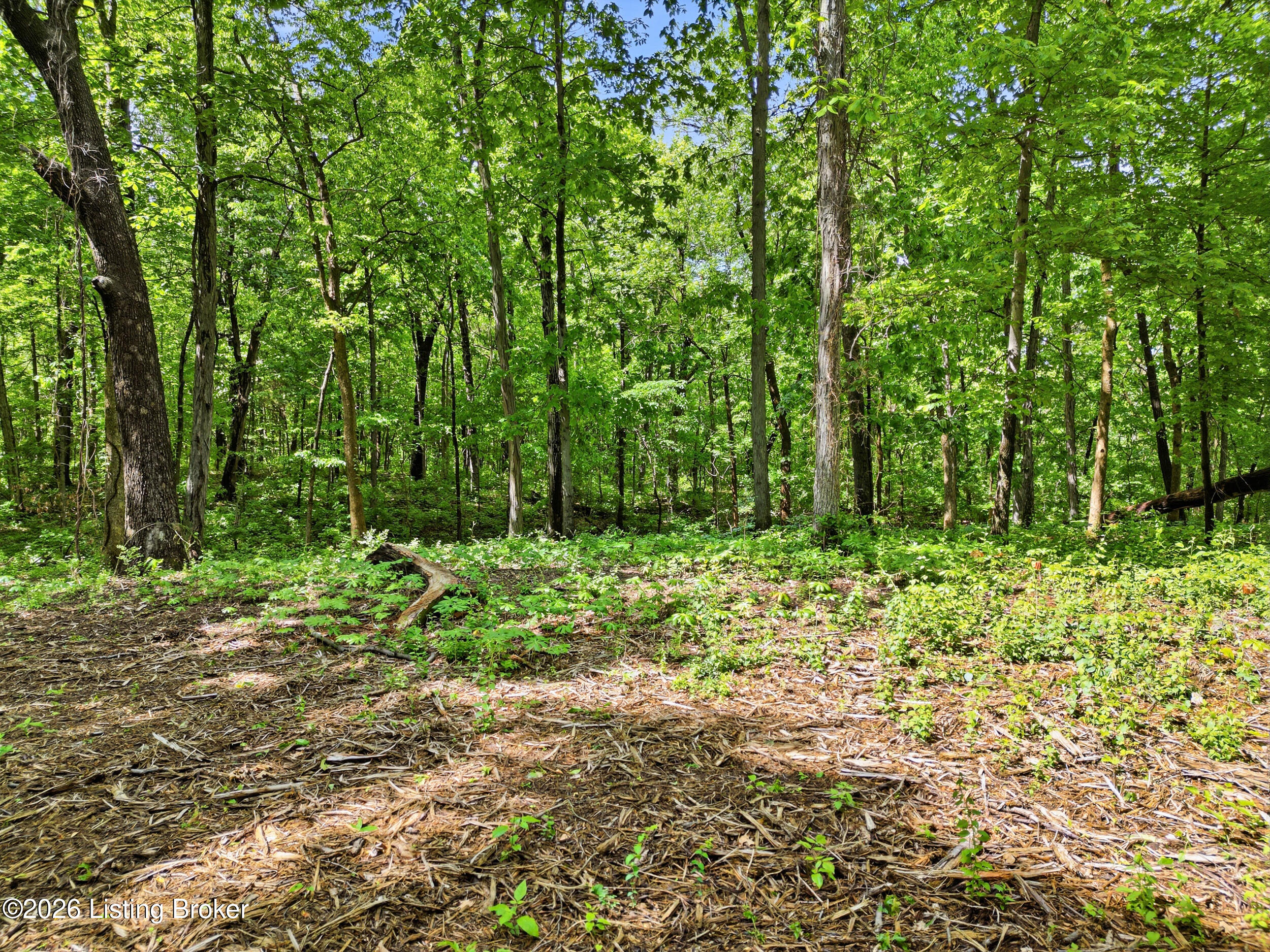 5900 Billtown Rd Property Photo 11
