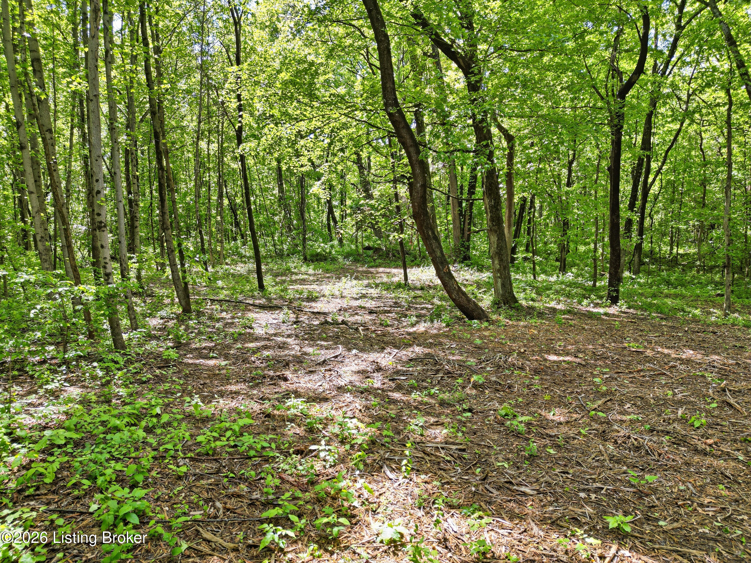 5900 Billtown Rd Property Photo 12