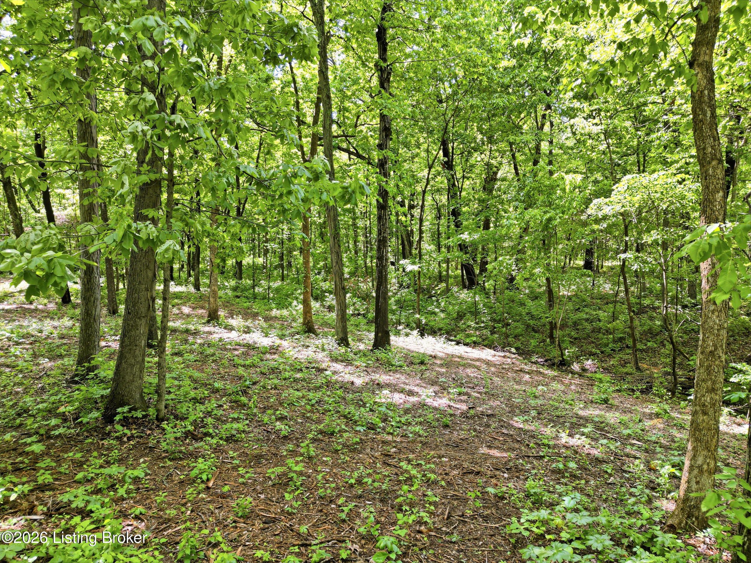 5900 Billtown Rd Property Photo 13