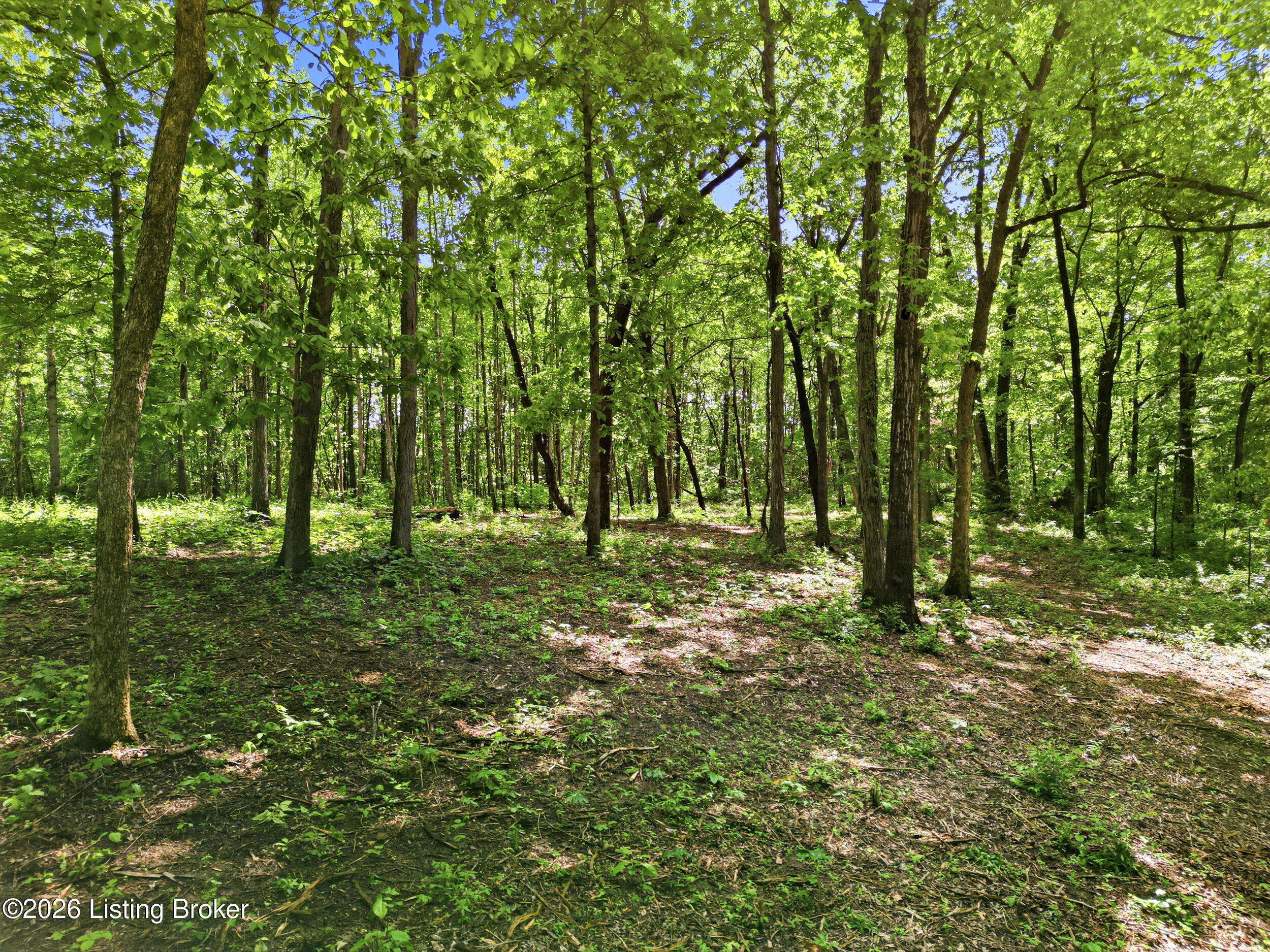 5900 Billtown Rd Property Photo 14