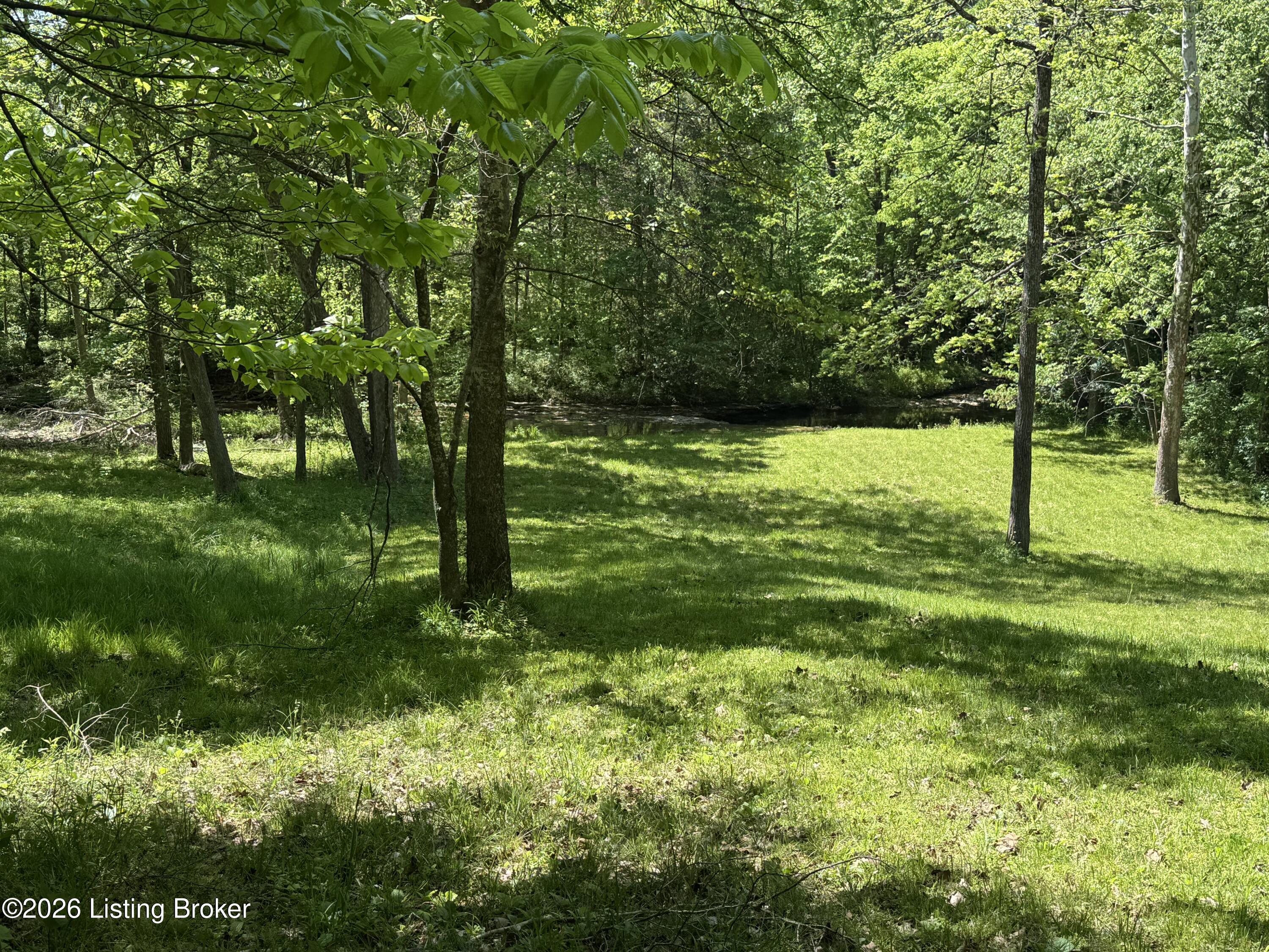 199 Lickskillet Dr Property Photo 89