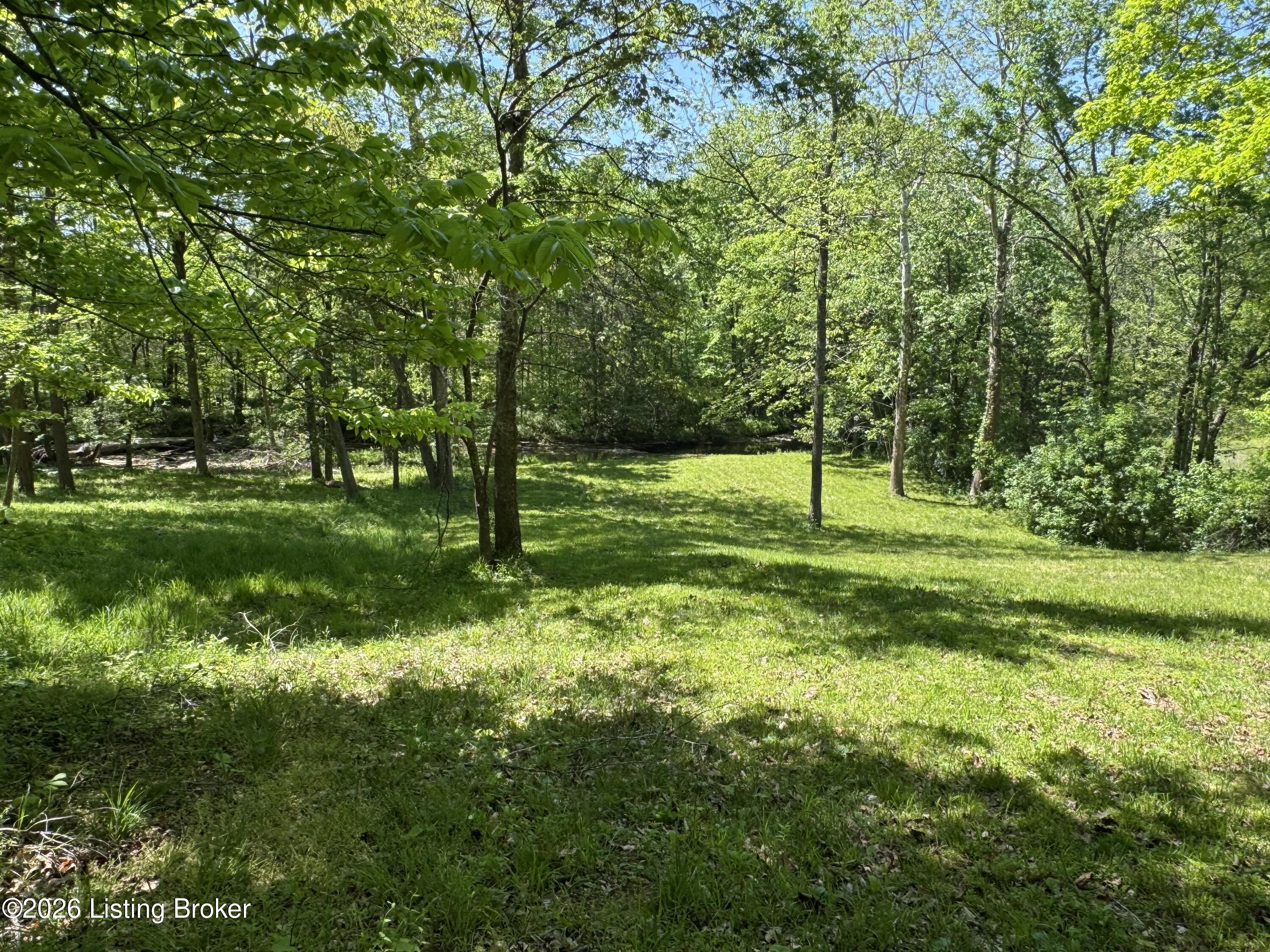 199 Lickskillet Dr Property Photo 90