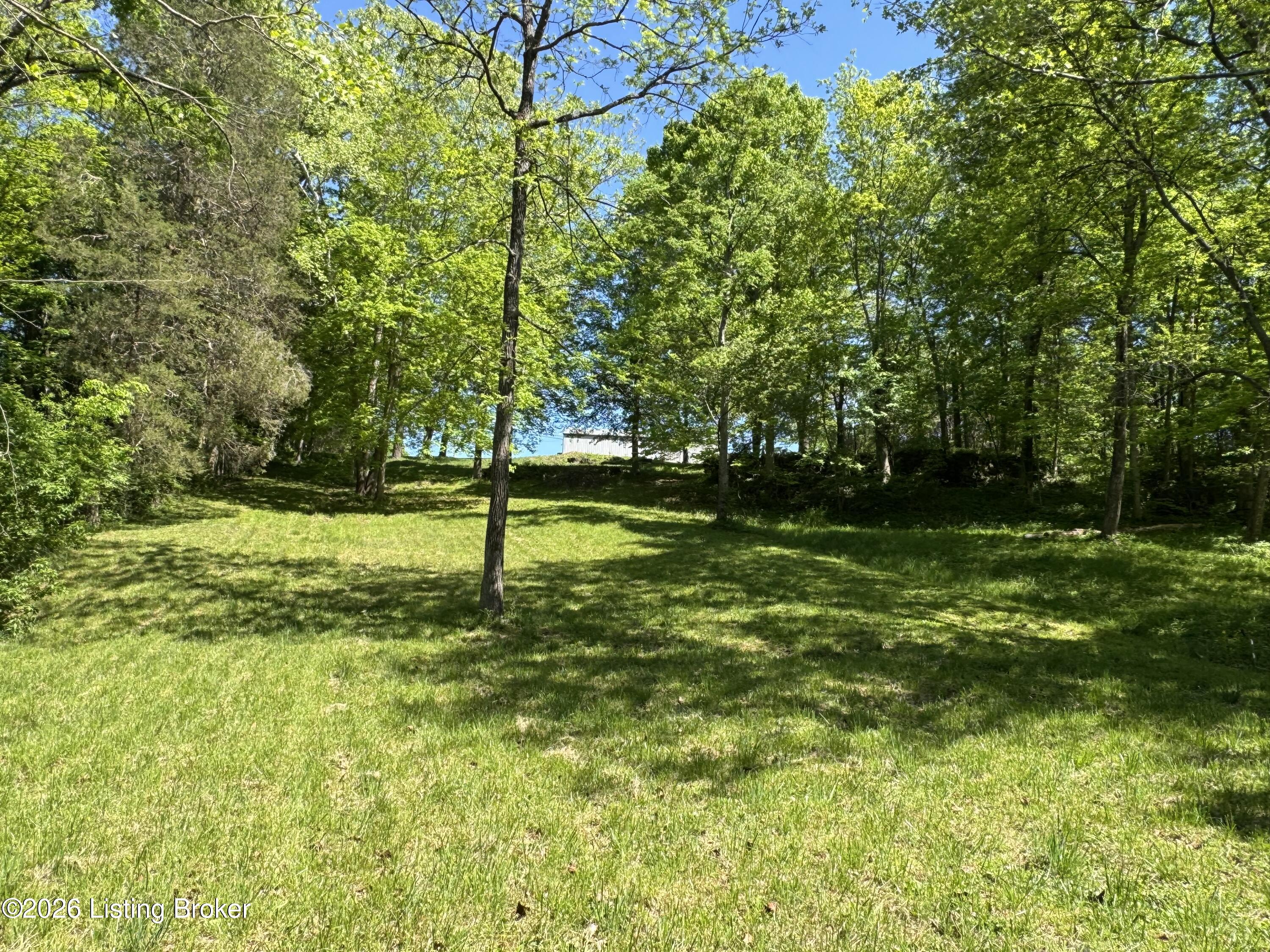 199 Lickskillet Dr Property Photo 91