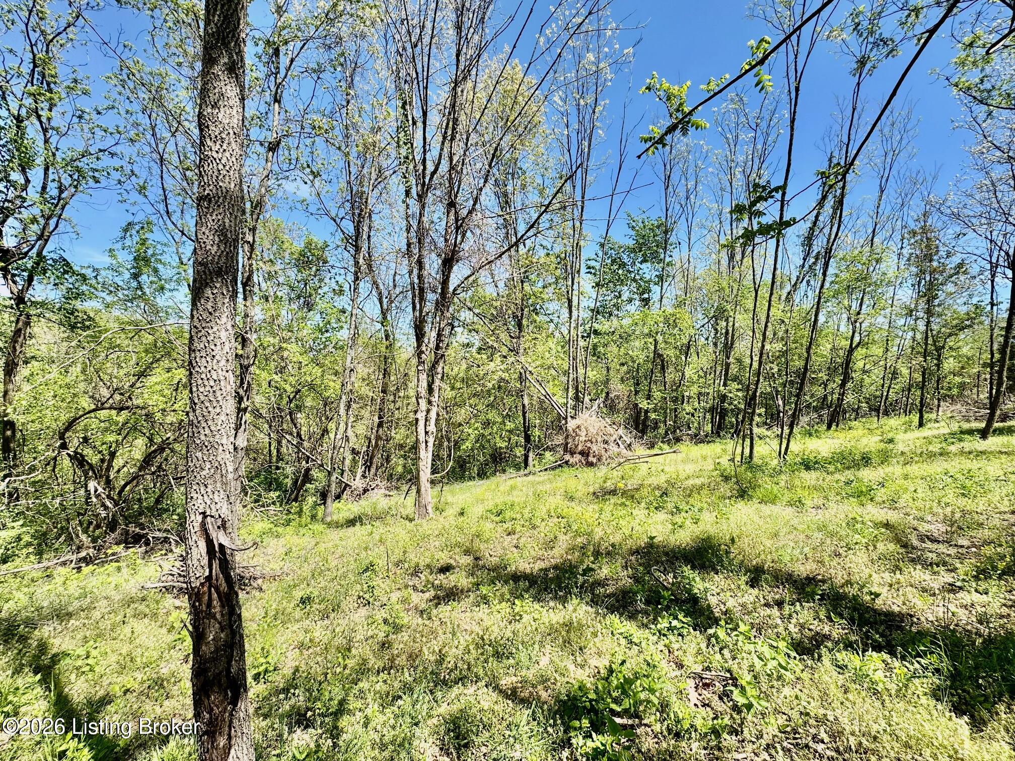 1041 Mays Rd Property Photo 10