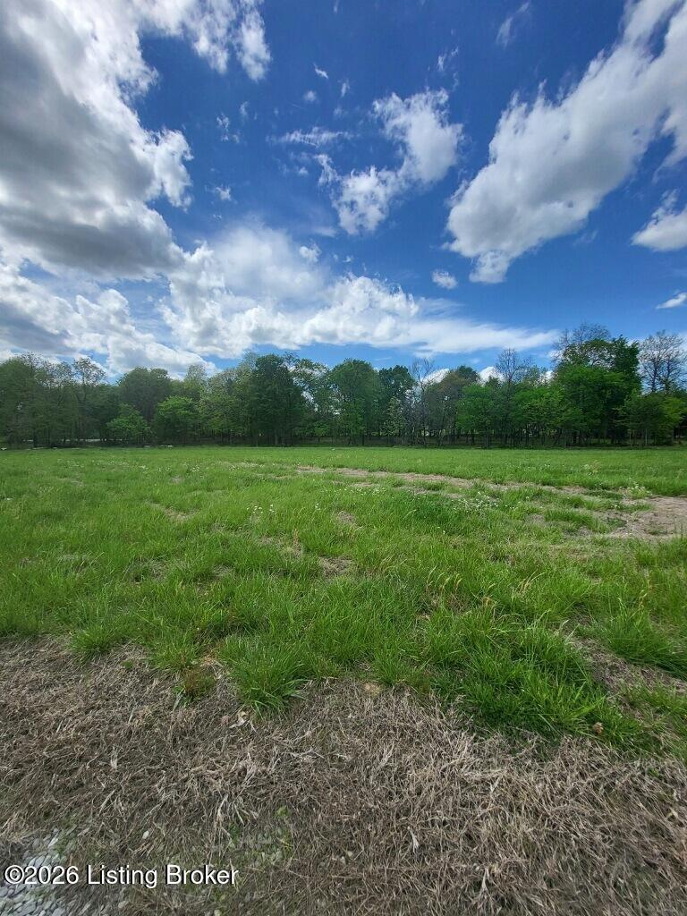 169 Chett Ln Property Photo 1