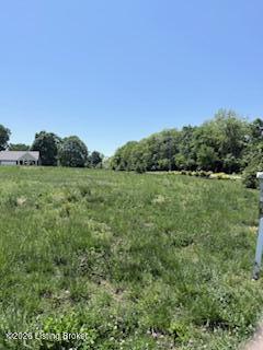 8236 Cedar Crest Ln Property Photo 1