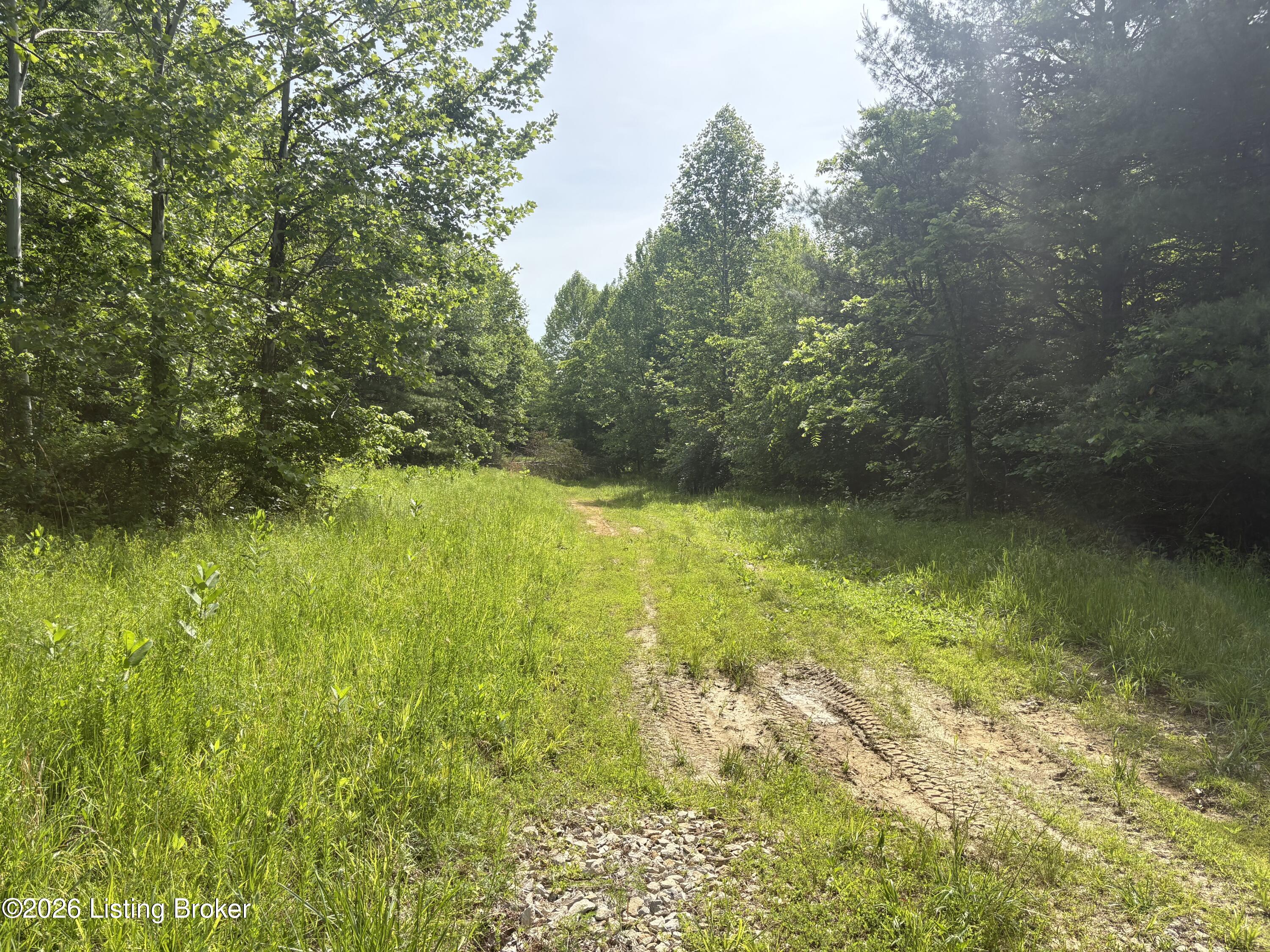 1298 Brier Fields Ln Property Photo 4