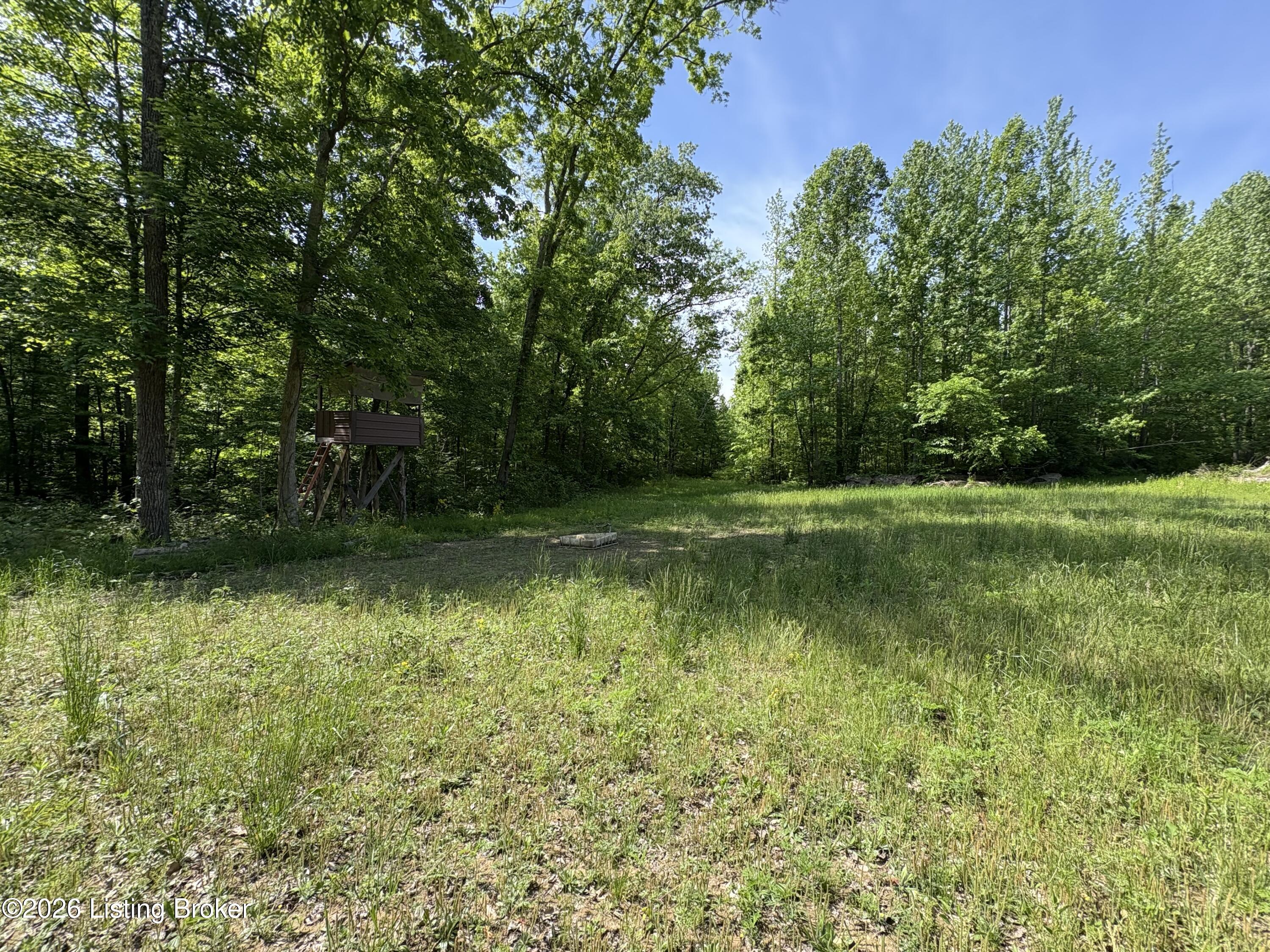 1298 Brier Fields Ln Property Photo 9