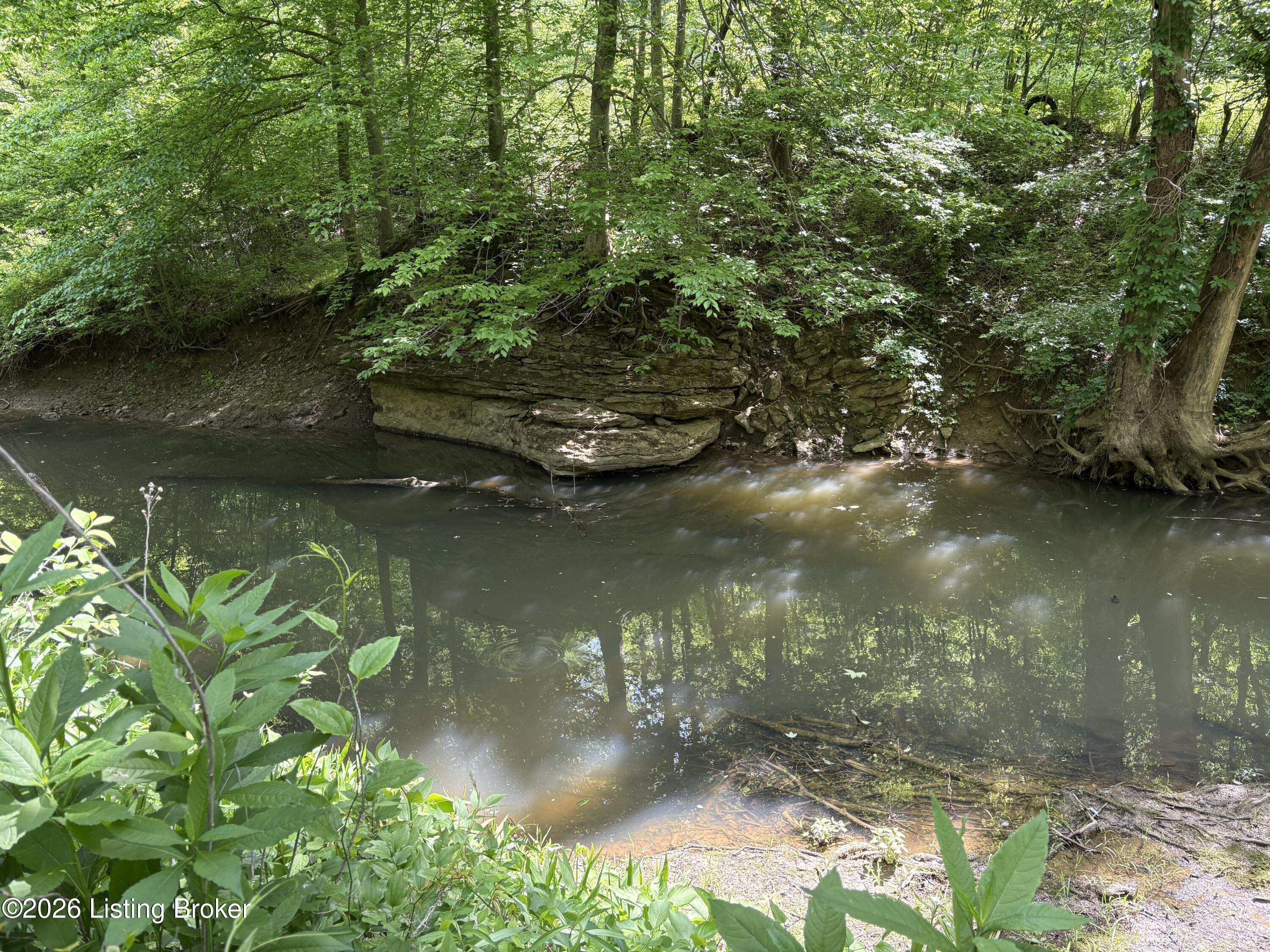 1298 Brier Fields Ln Property Photo 15