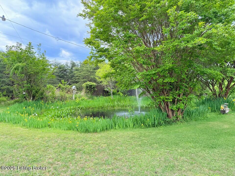 368 Nosey Creek Ct Property Photo 11