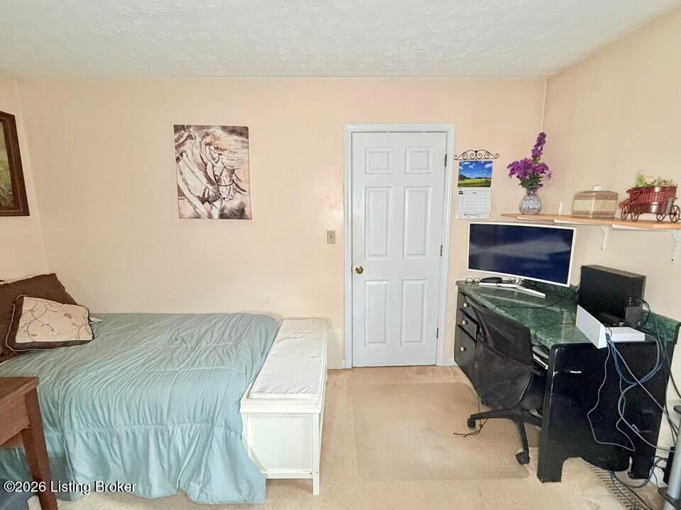 368 Nosey Creek Ct Property Photo 29