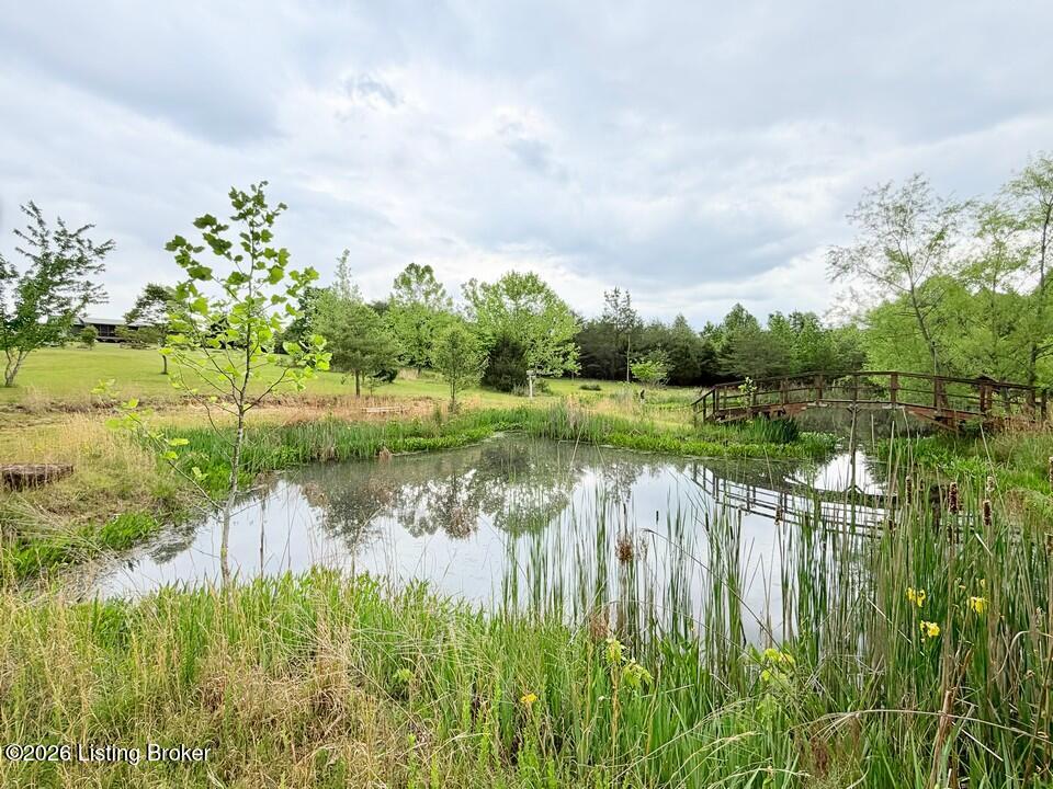 368 Nosey Creek Ct Property Photo 40
