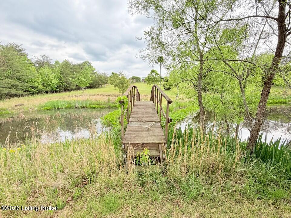 368 Nosey Creek Ct Property Photo 41