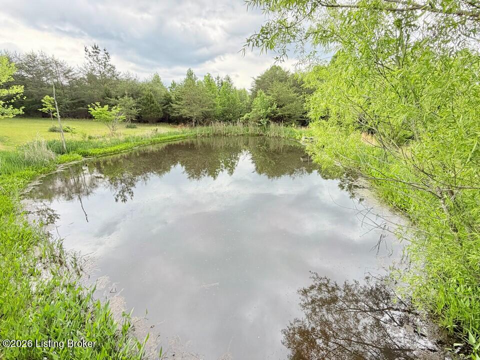 368 Nosey Creek Ct Property Photo 42