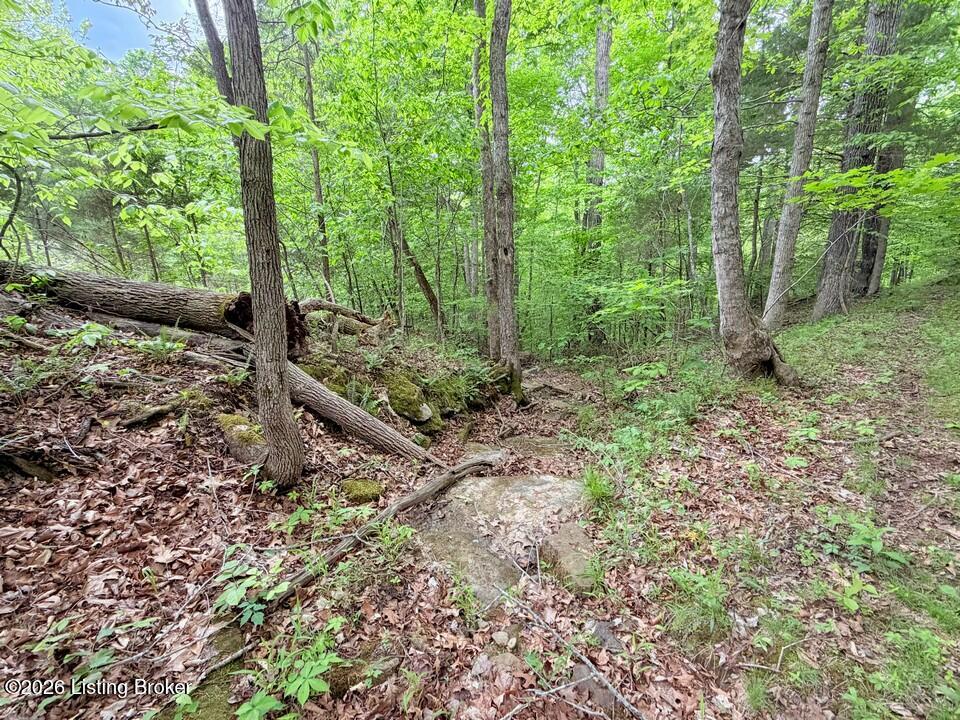 368 Nosey Creek Ct Property Photo 48