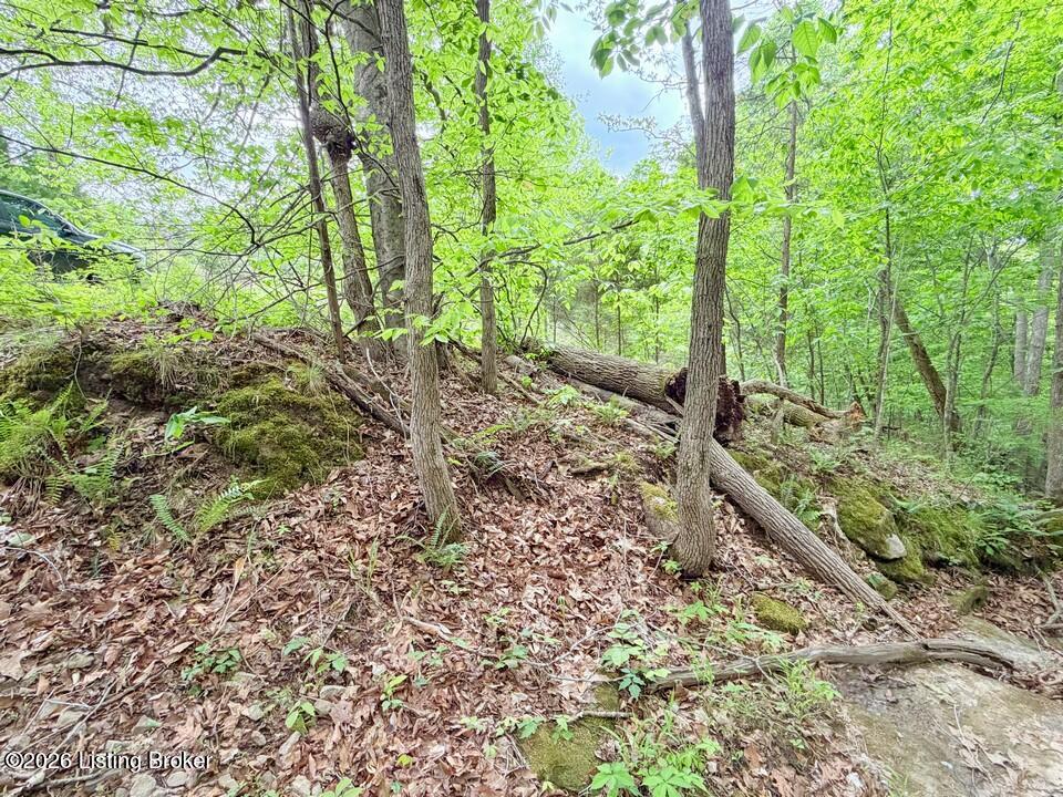 368 Nosey Creek Ct Property Photo 49