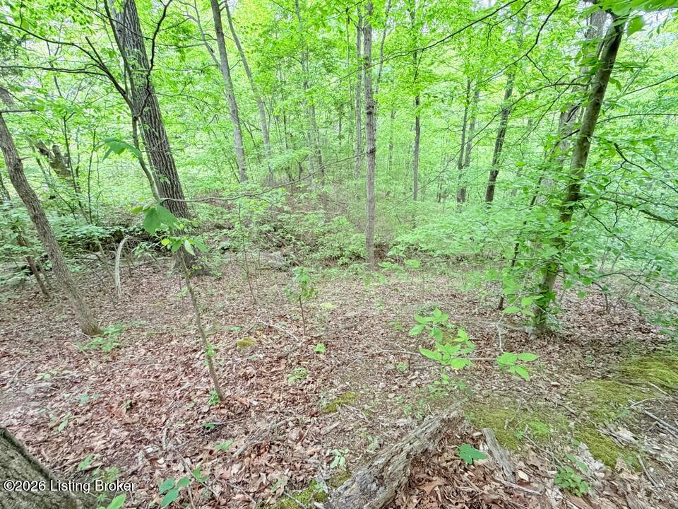 368 Nosey Creek Ct Property Photo 50