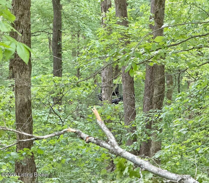 368 Nosey Creek Ct Property Photo 54