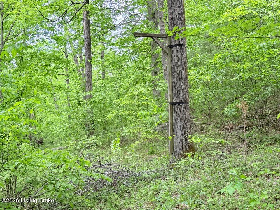 368 Nosey Creek Ct Property Photo 55