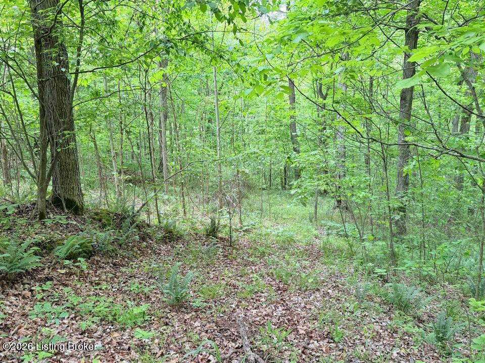 368 Nosey Creek Ct Property Photo 57